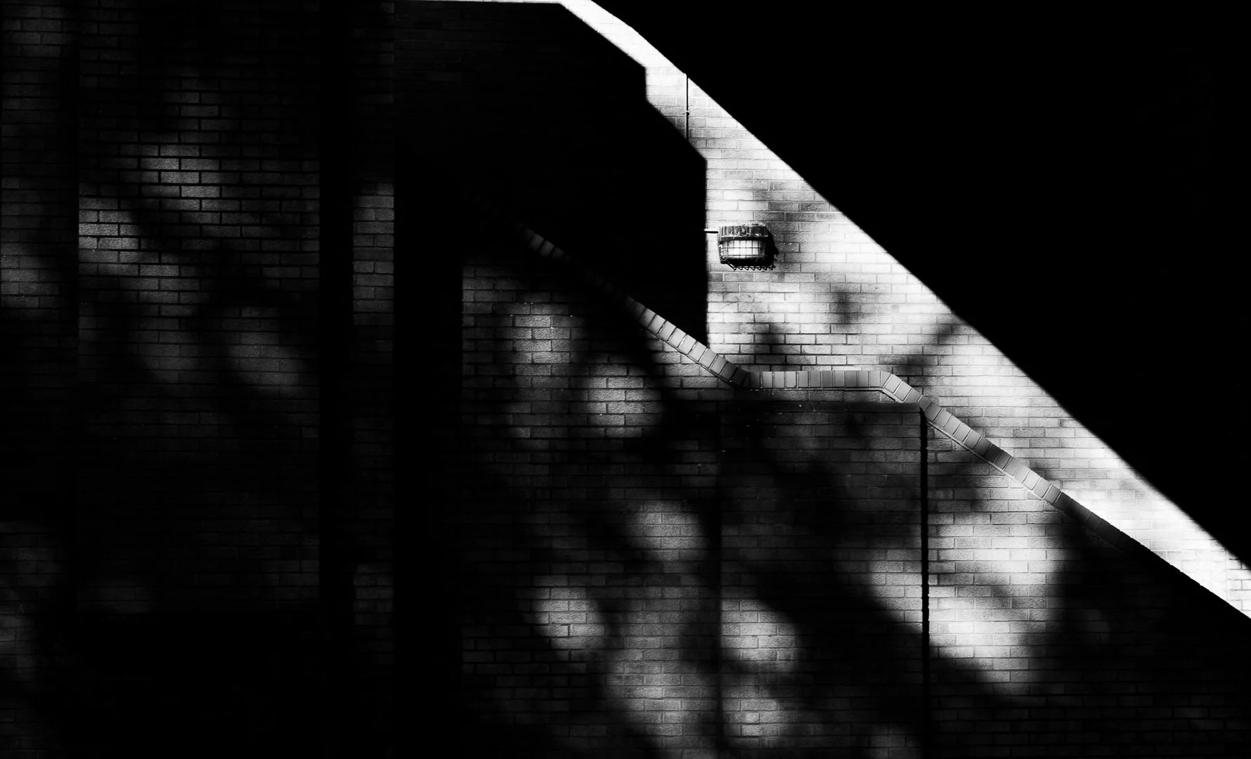 Shadows and light cast on a brick wall with a drainpipe and pipes, in black and white.