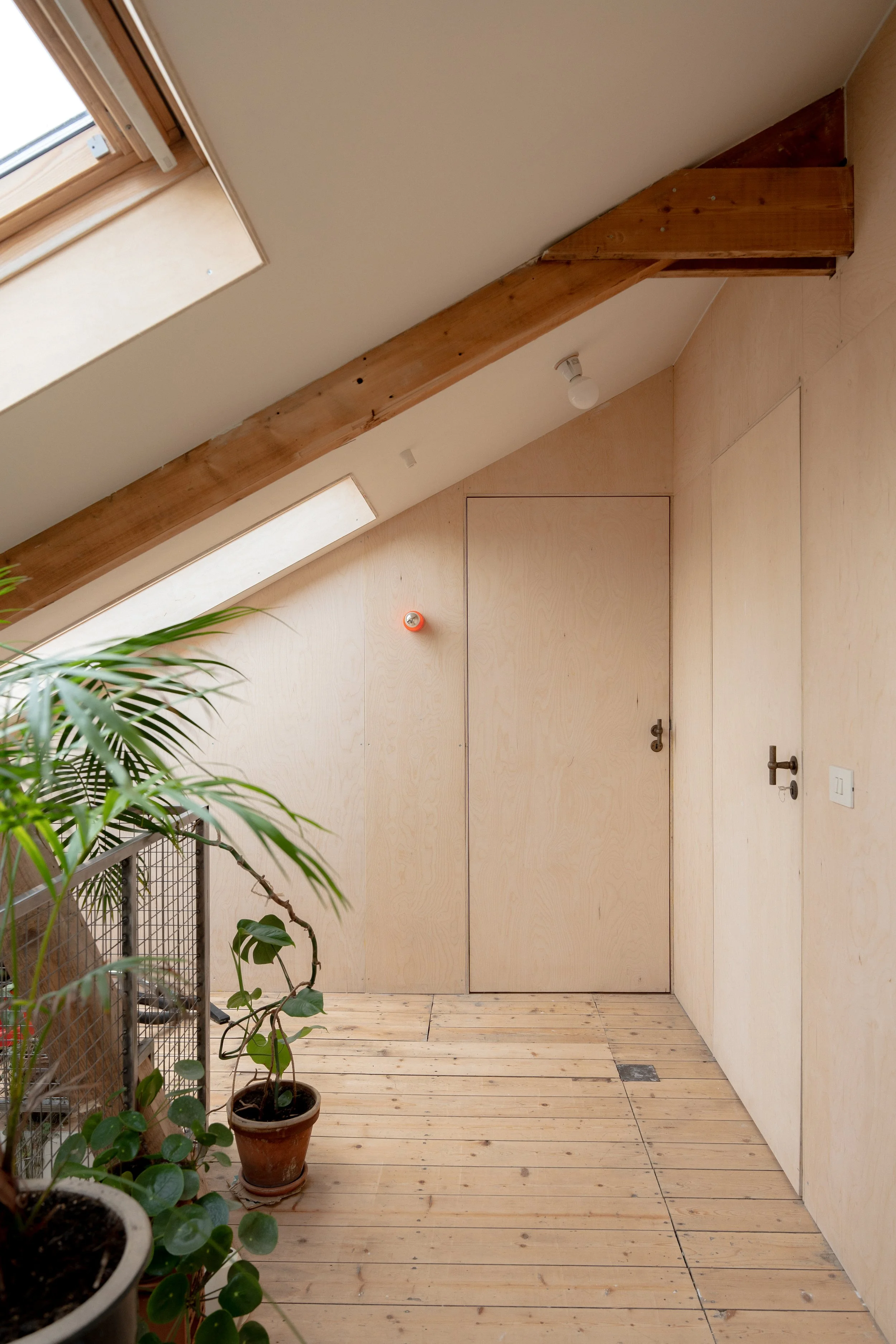 Een binnenruimte met houten vloer en wanden, twee skylights in het plafond, een houten balk en een deur. Er staan verschillende planten in potten.