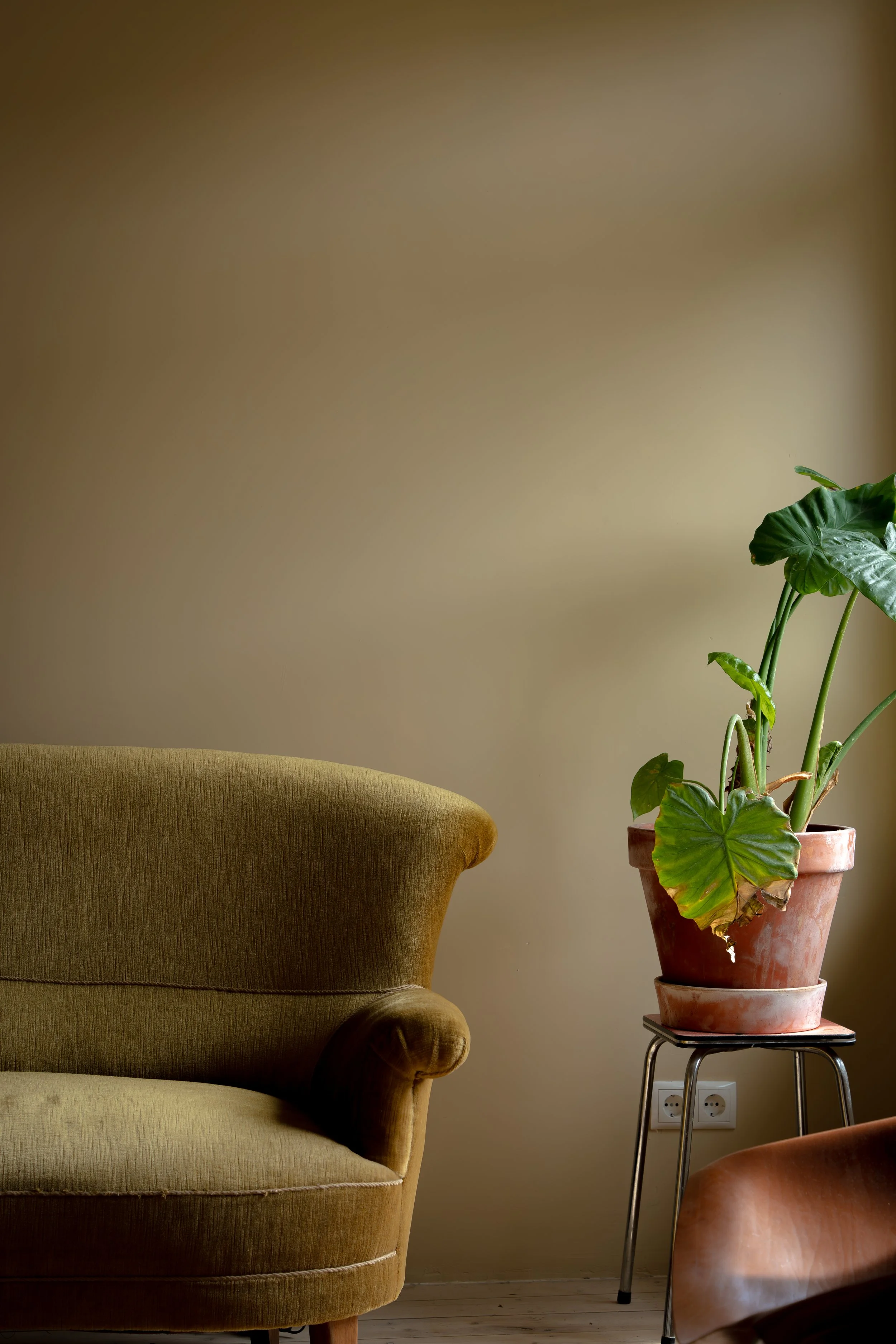 Binnenzicht van een woonruimte met een groene bank, een plantenpot met een groene plant, een steigerhoutje onder de plantenpot en een beige muur als achtergrond.