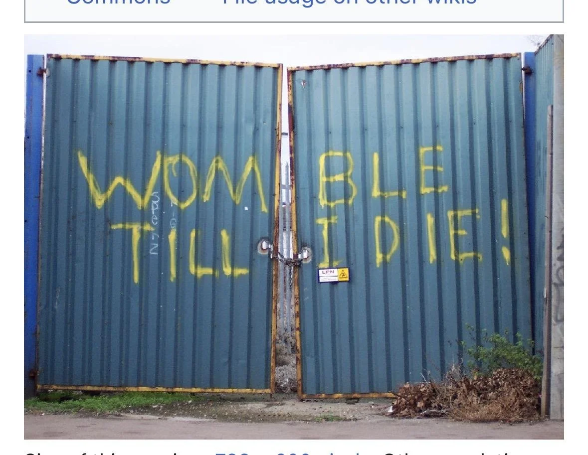 The iconic words daubed on Wimbledon’s old ground at Plough Lane