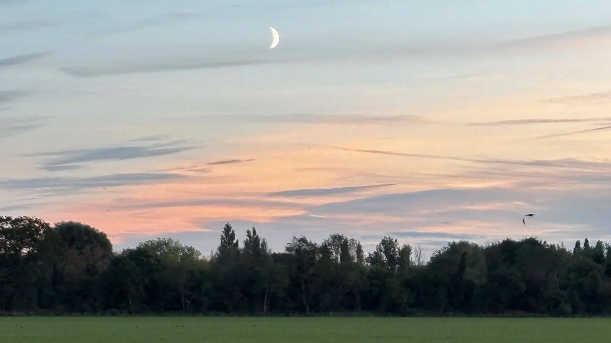Landscape at dusk with a crescent moon in the sky, streaked clouds with pink and gray hues, and a silhouette of trees and a grassy field below.