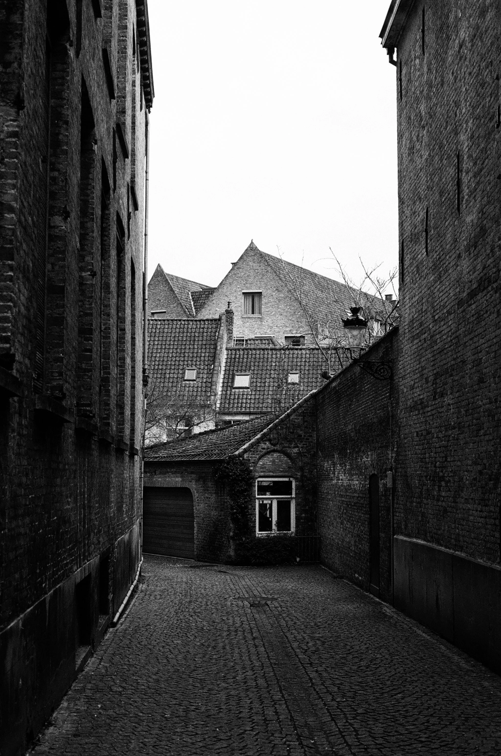 img_17 copy.JPG