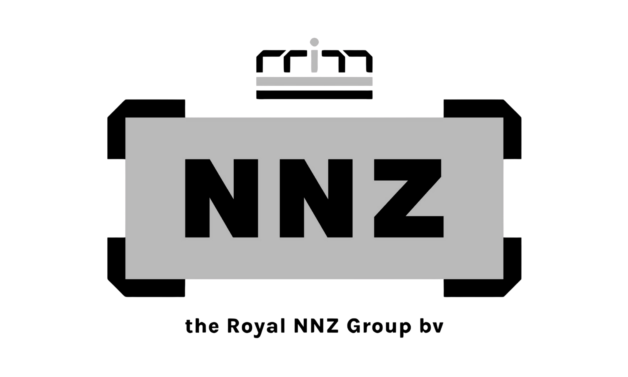 NNZ logo