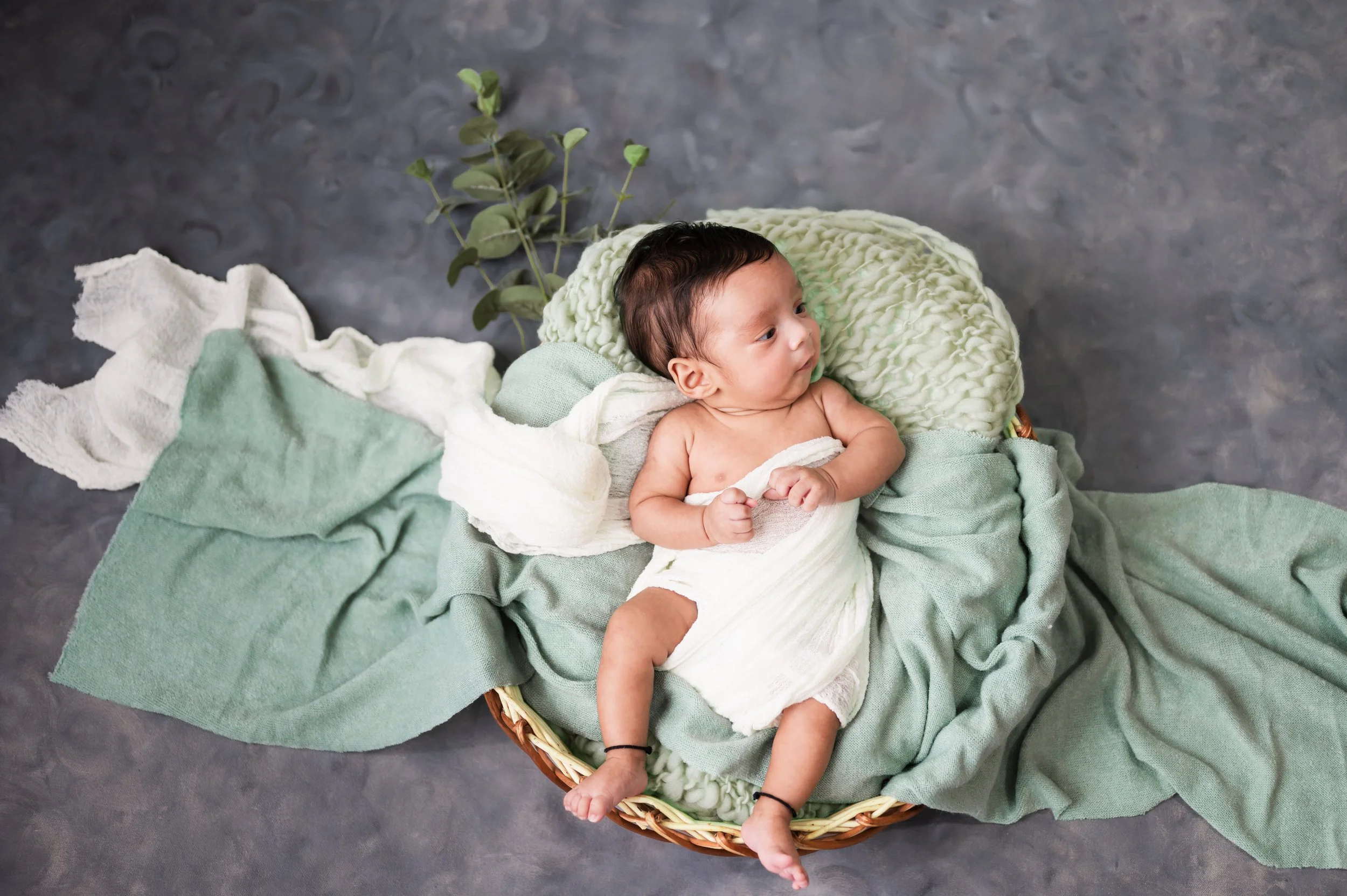 M24_6330.jpg