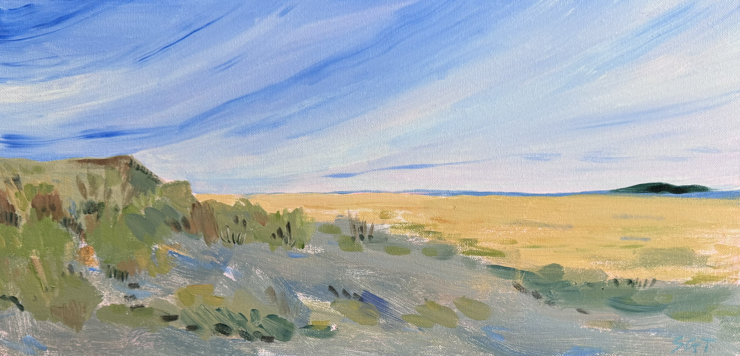 "Dunes" private collection