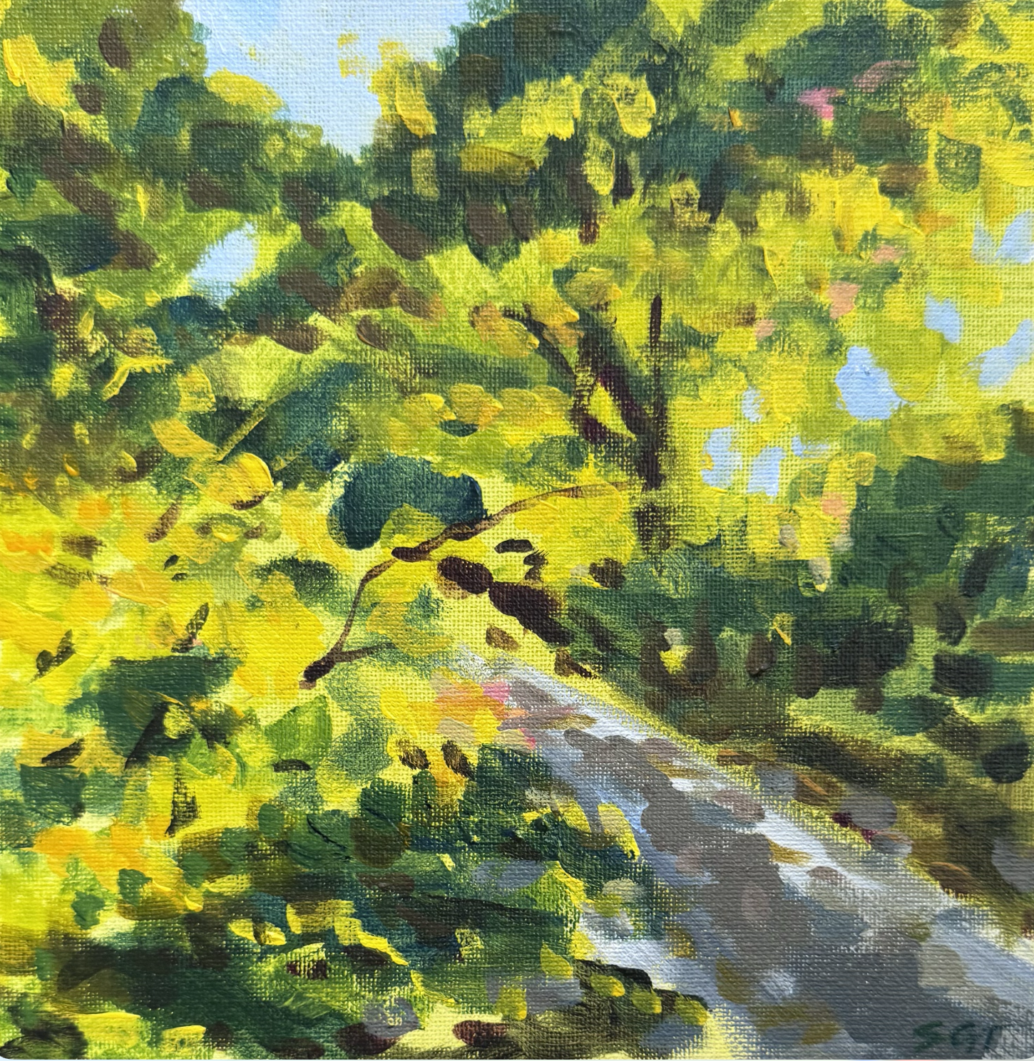 "Fall Light" 8" x 8" $125