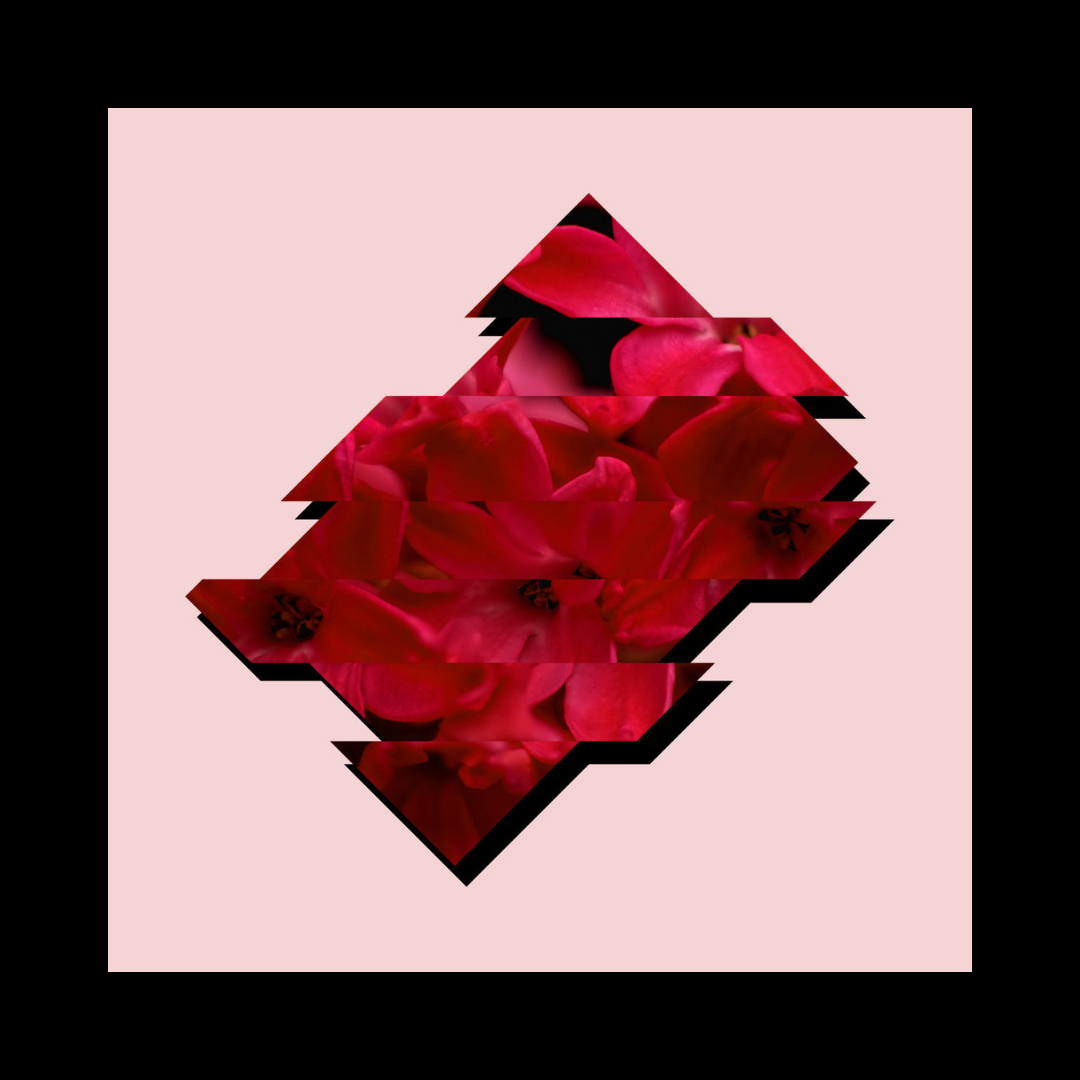 ALBUM.png