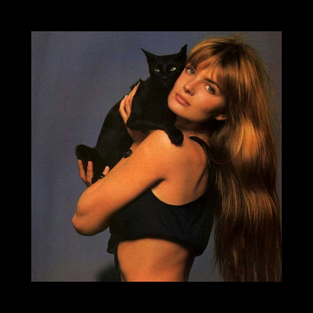 ALBUM.png