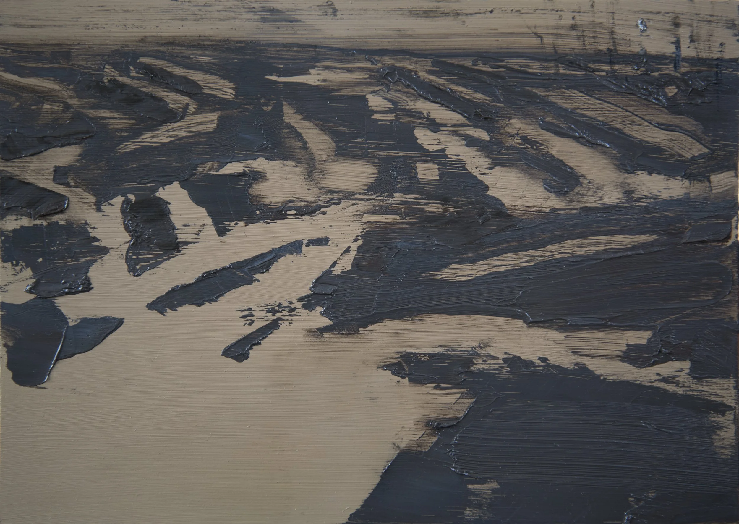 Small Muddy Field_8x25.jpg