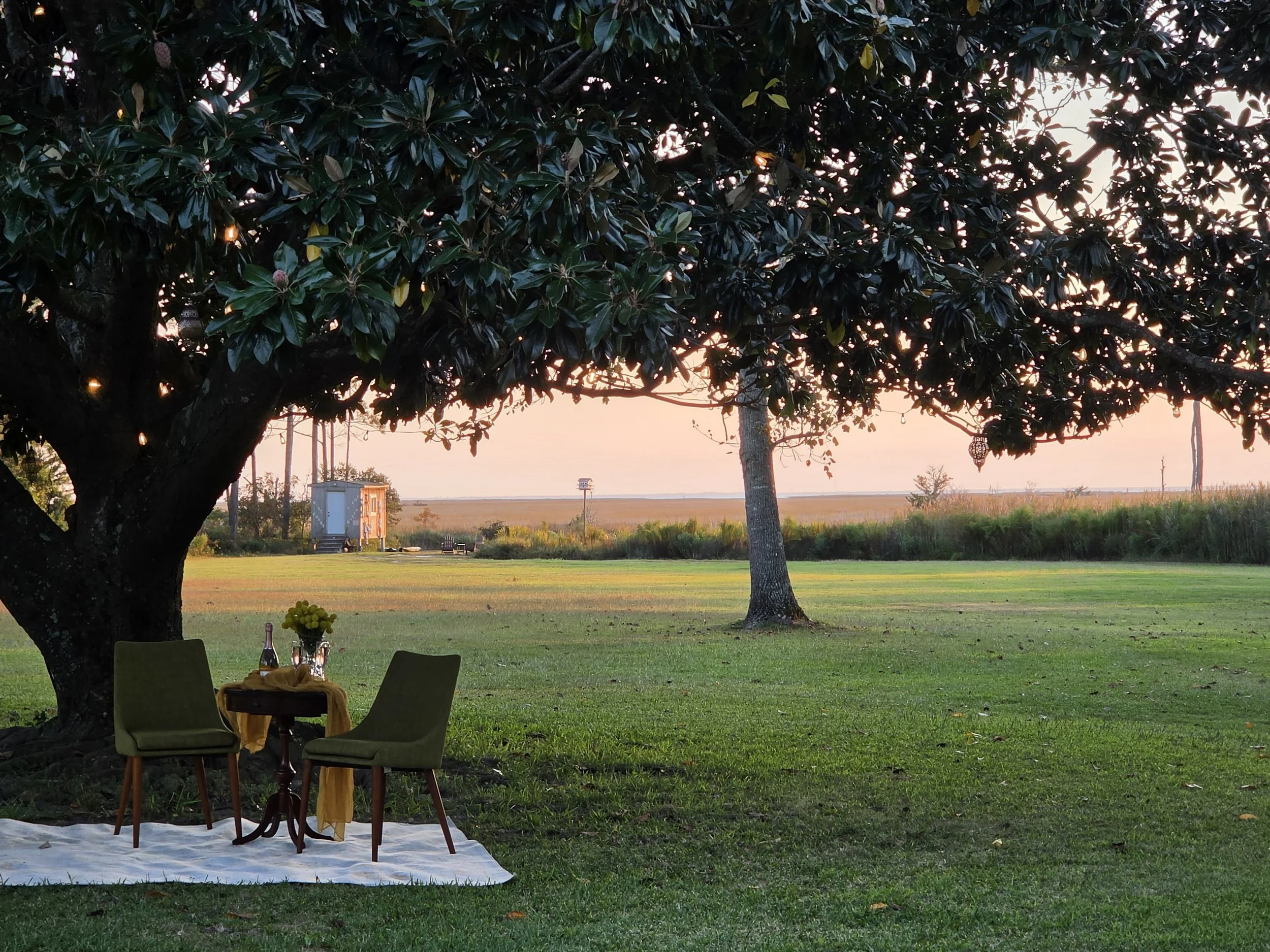 a backyard patio decorated for a gathering, with a small round table covered with a yellow cloth, wine glasses, and a bottle, surrounded by two green chairs, under a large leafy tree. In the background, there are open fields and a sunset sky.