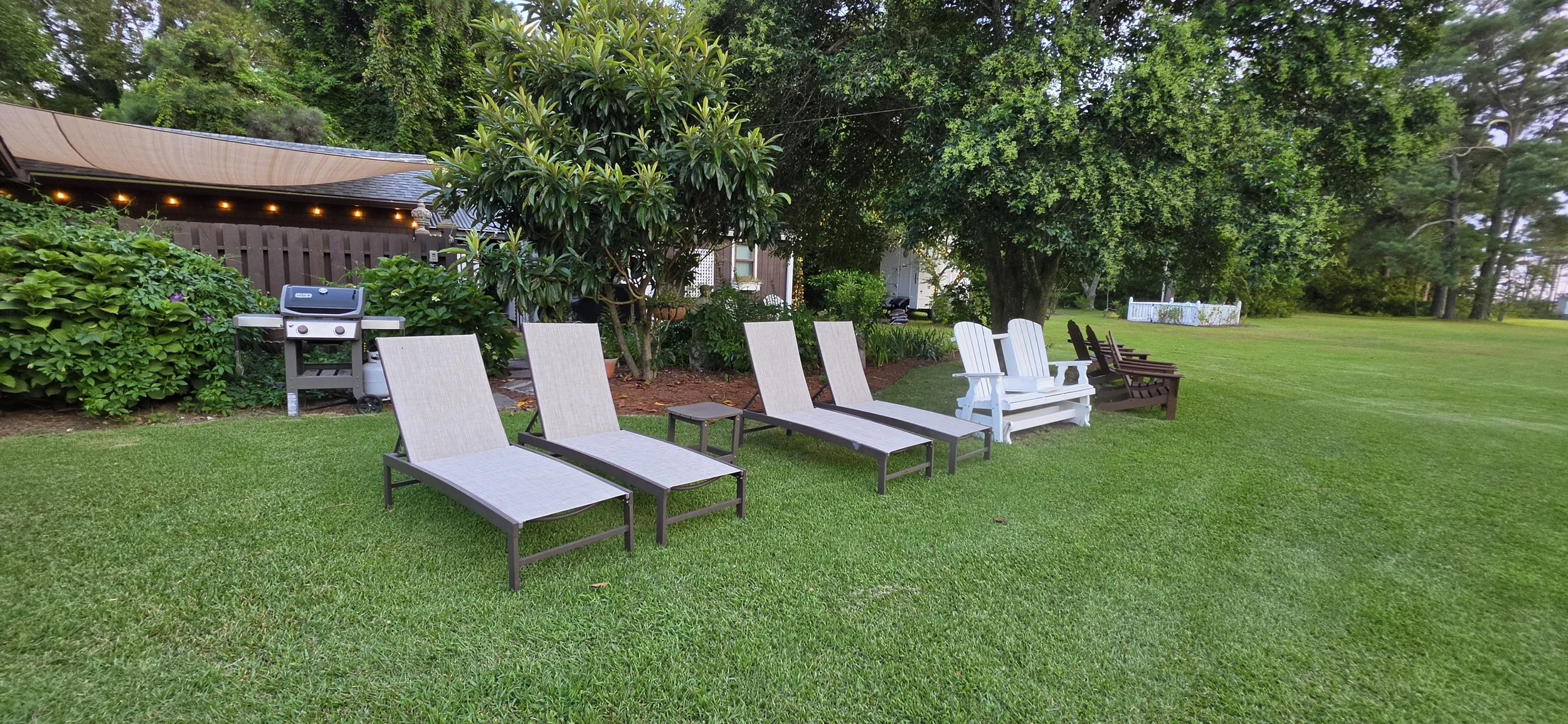 A backyard with a row of lounge chairs and Adirondack chairs on a well-maintained grassy lawn, surrounded by trees and bushes, with a barbecue grill and a house in the background.
