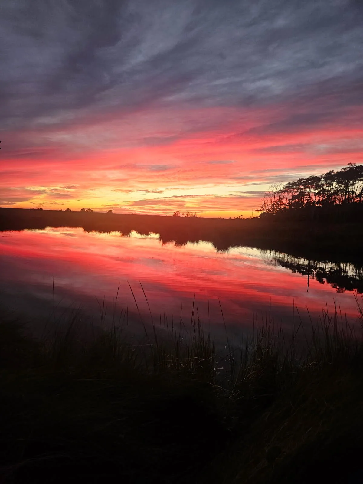 Sunsets are amazing!