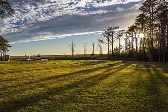 Open grassy field with trees in the background and a partly cloudy sky.