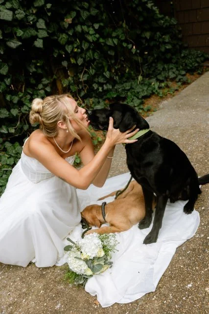 Bride in a white wedding dress petting a black dog beside a sleeping tan dog and bridal bouquet