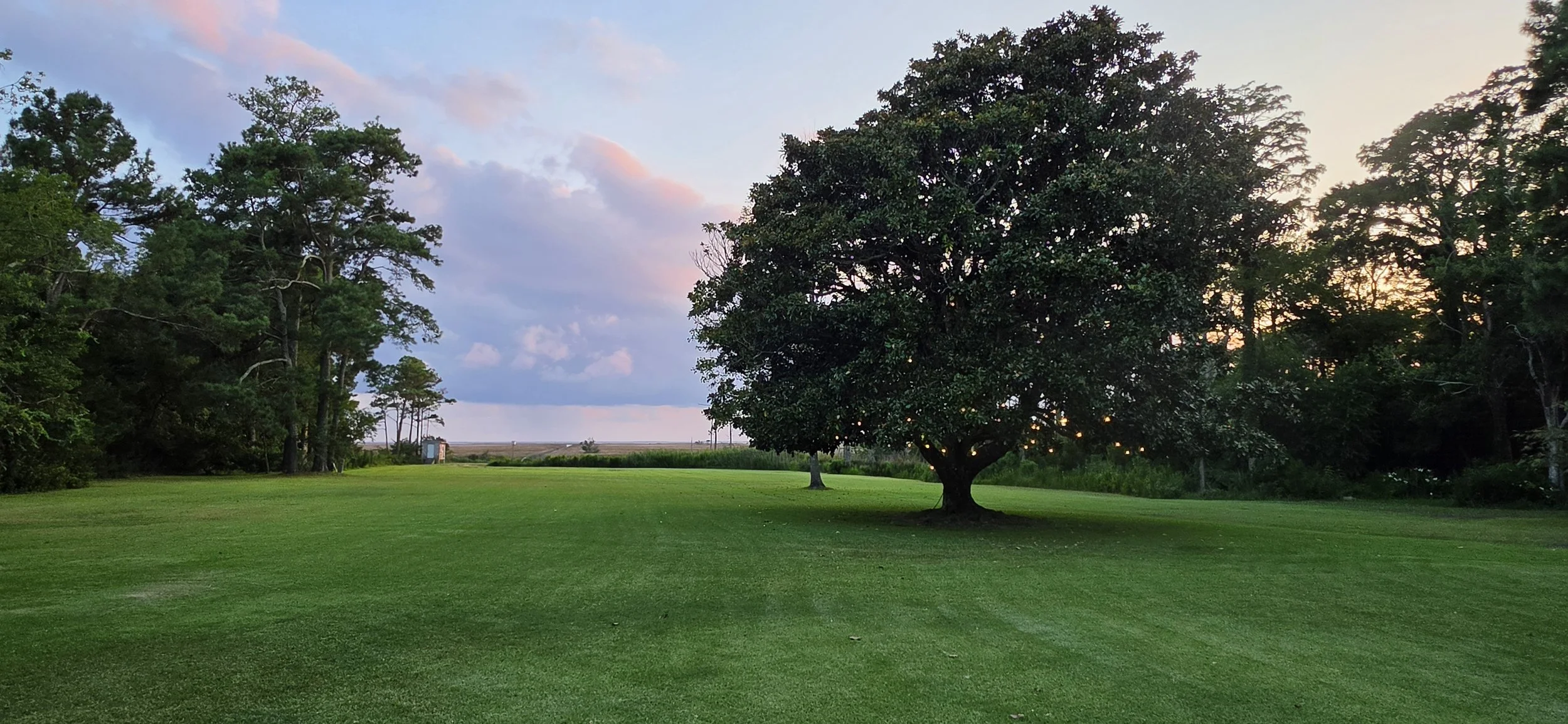 A grassy field with trees and a sunset sky with clouds.