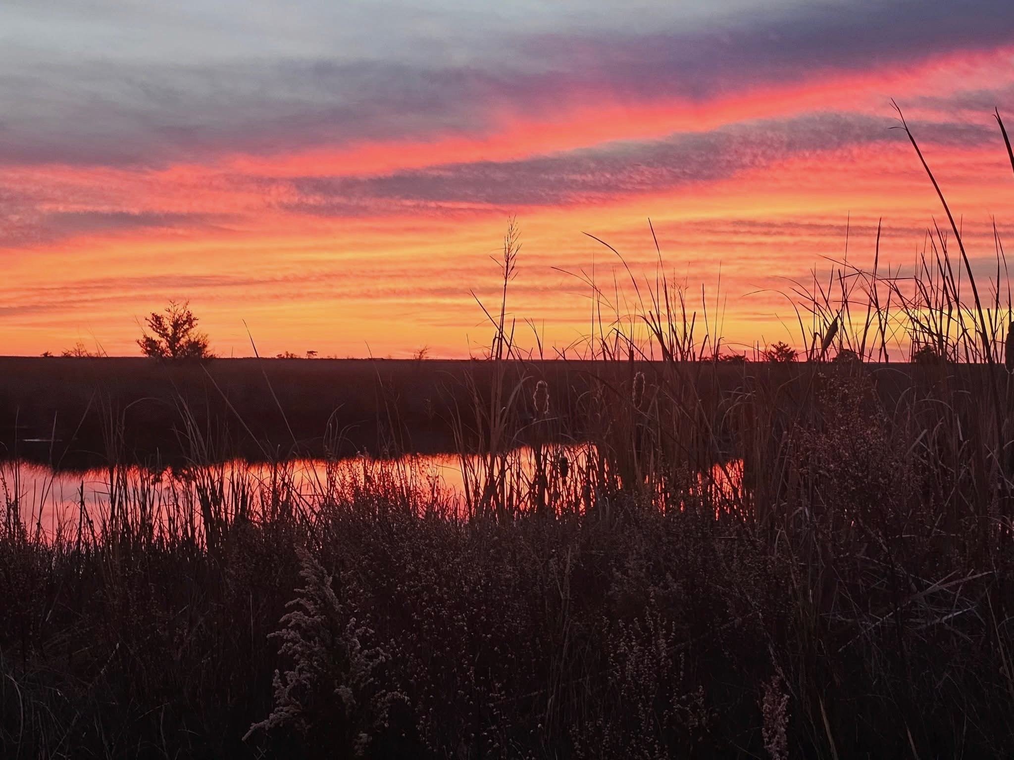 More of those epic sunsets the Manor is known for.