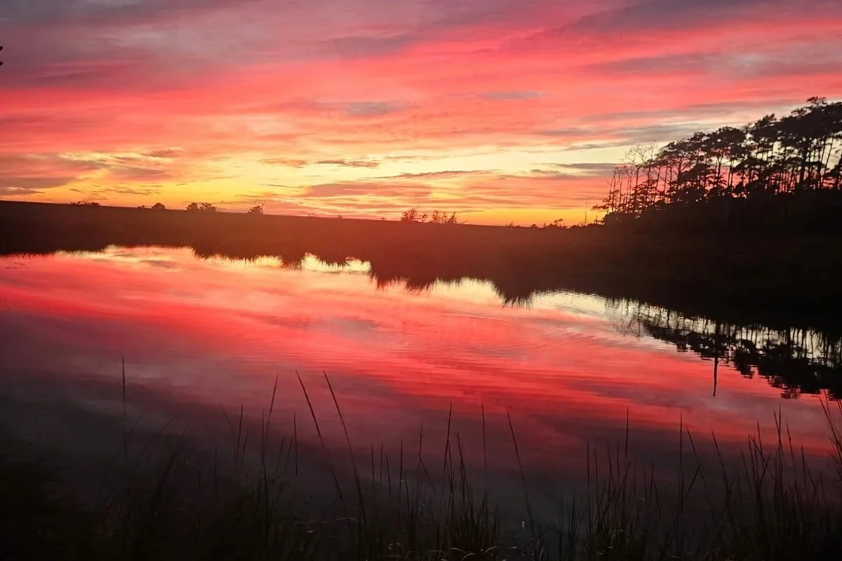 A stunning orange, purple and gold sunset over the sound at Bostwicks Magnolia Manor.