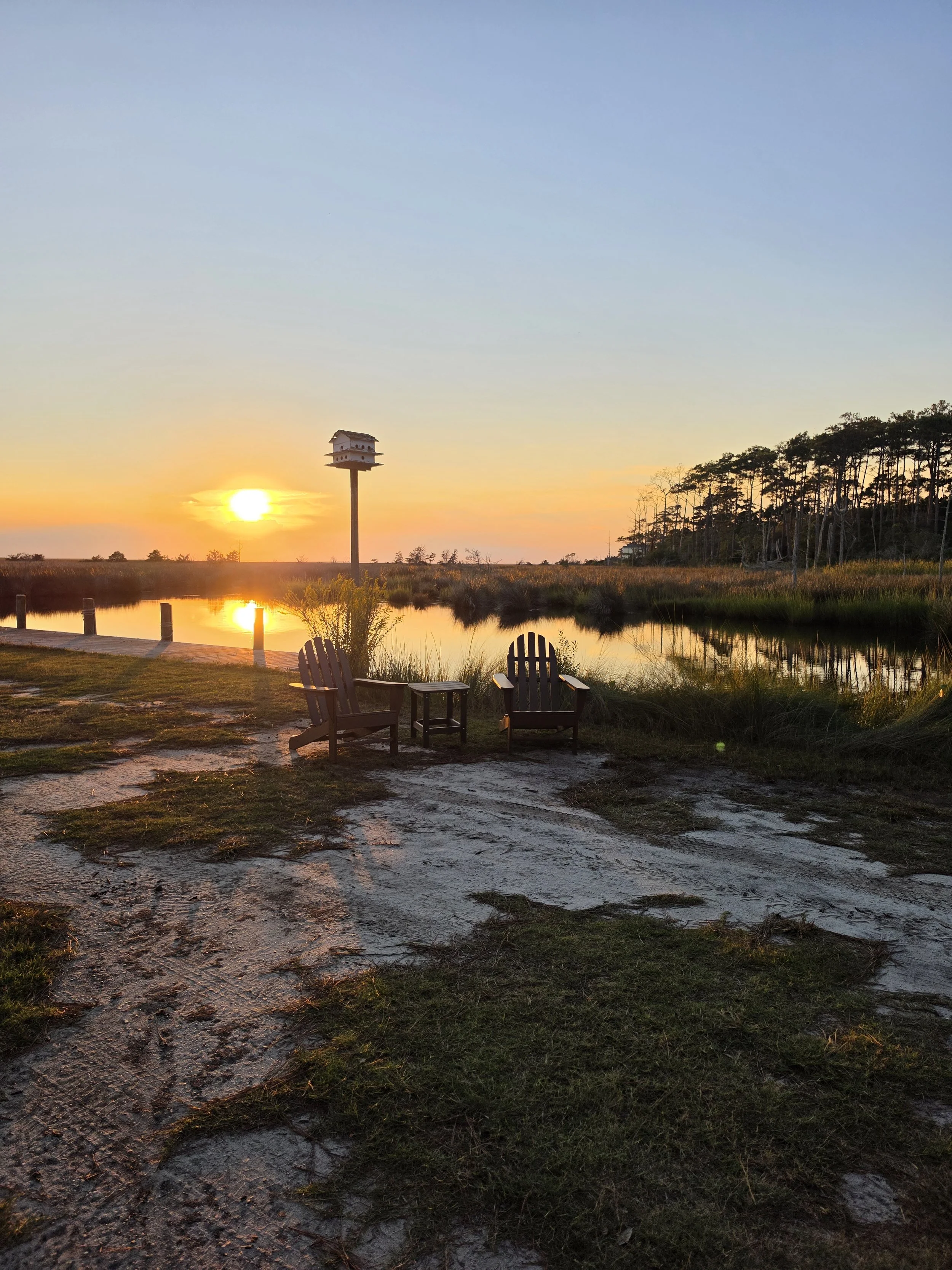 Sunset over a pond with Adirondack chairs, a dock, a birdhouse, and silhouetted trees.
