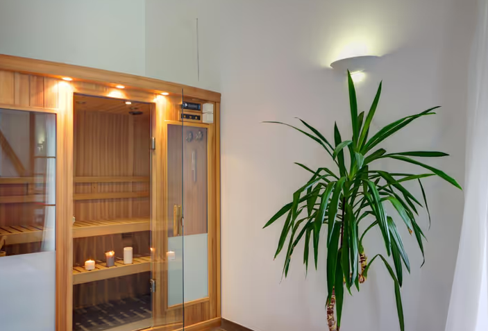 Une pièce avec un sauna en bois et une grande plante verte à côté, éclairée par un éclairage doux.