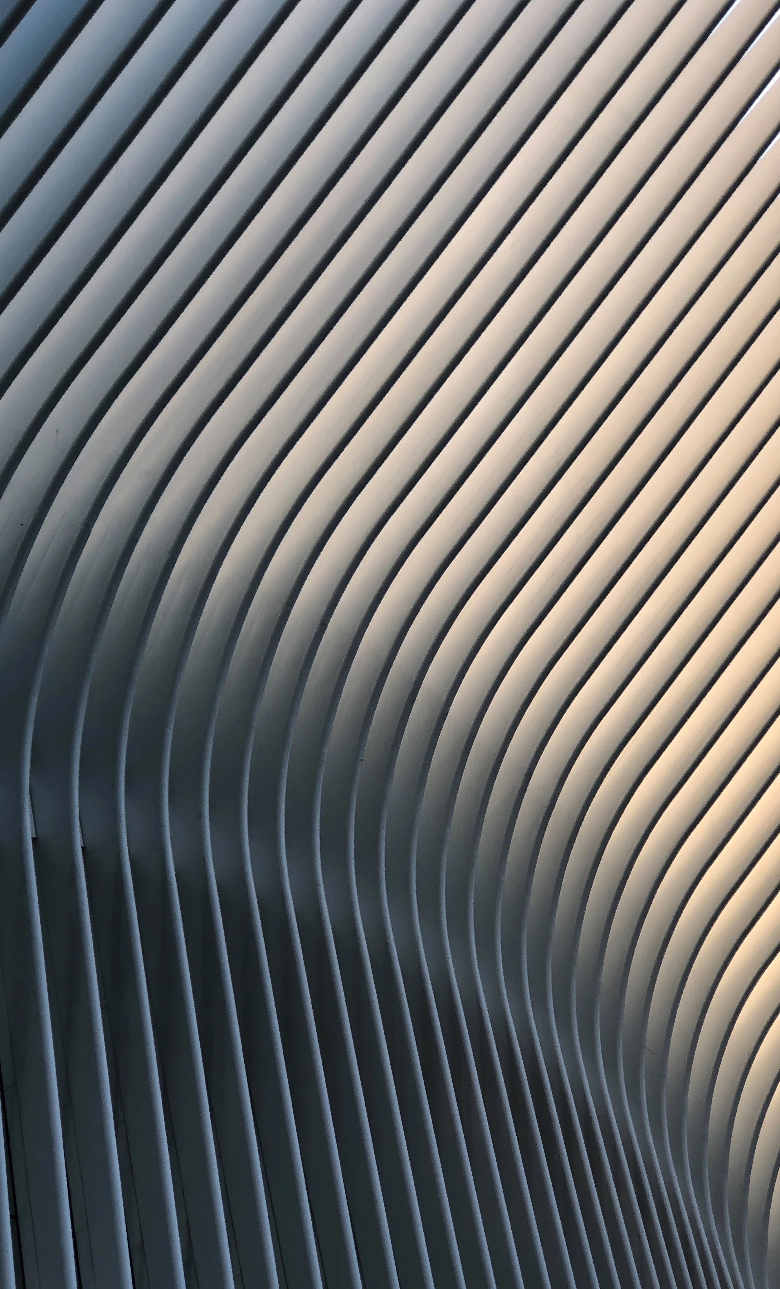 1265-Enhanced-SR.jpg