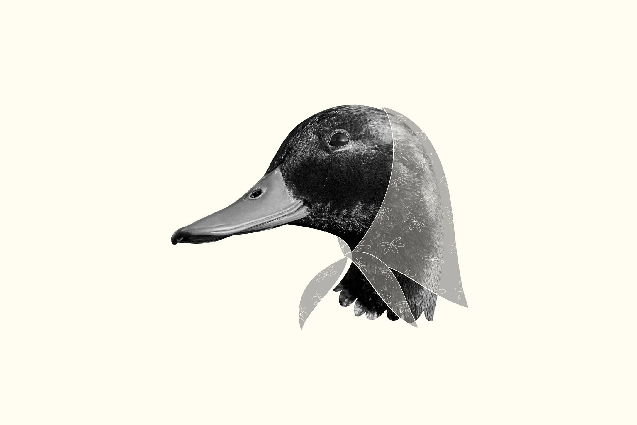Ilustração de uma pata com cabeça e pescoço em preto e branco, com uma sobreposição de um lenço estilizado na caçbae, detalhes em linhas de flores.