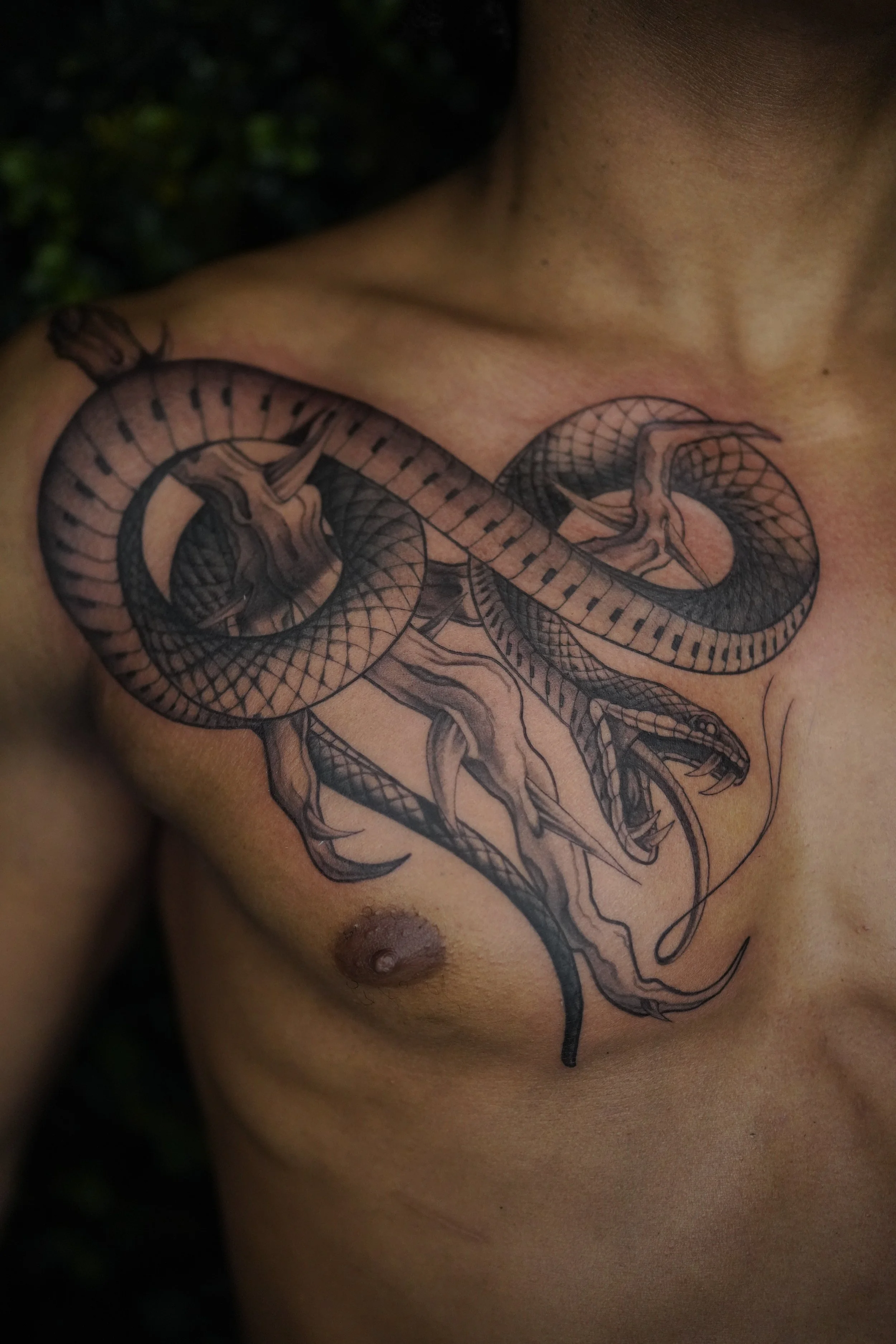 A tattoo of a snake on a person's chest.