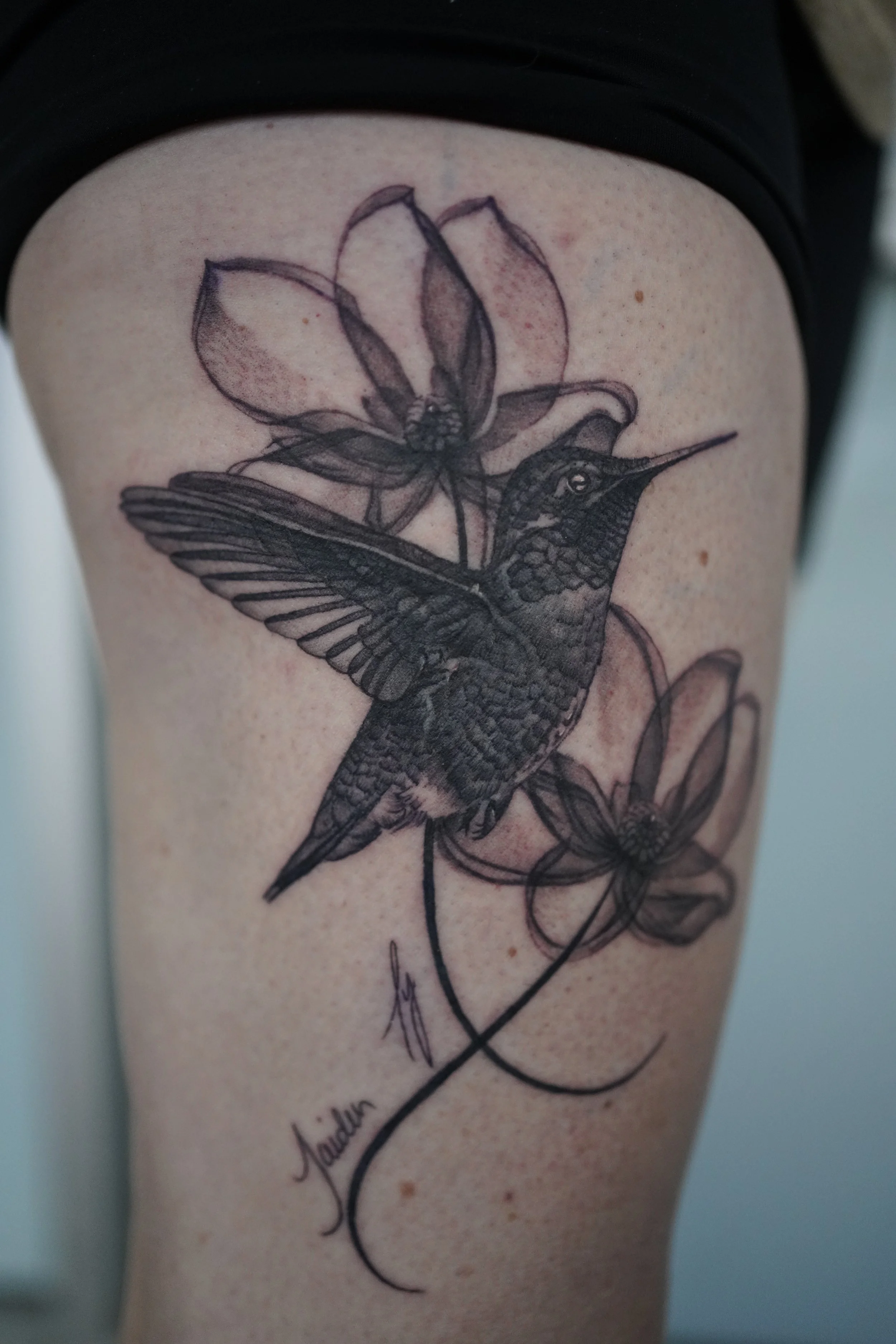 Black and gray tattoo of a hummingbird and a flower on a person's arm.