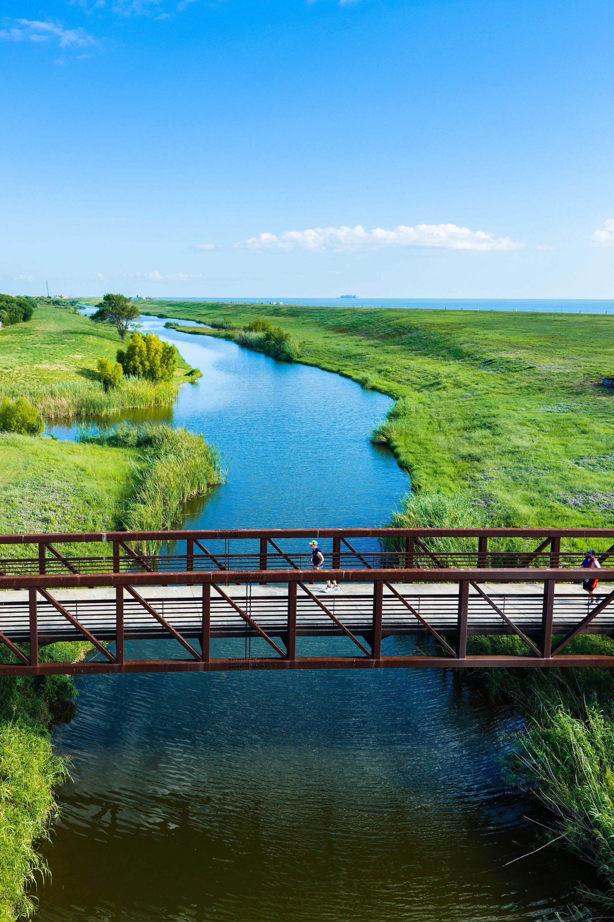 Runner crossing a bridge over the wetlands