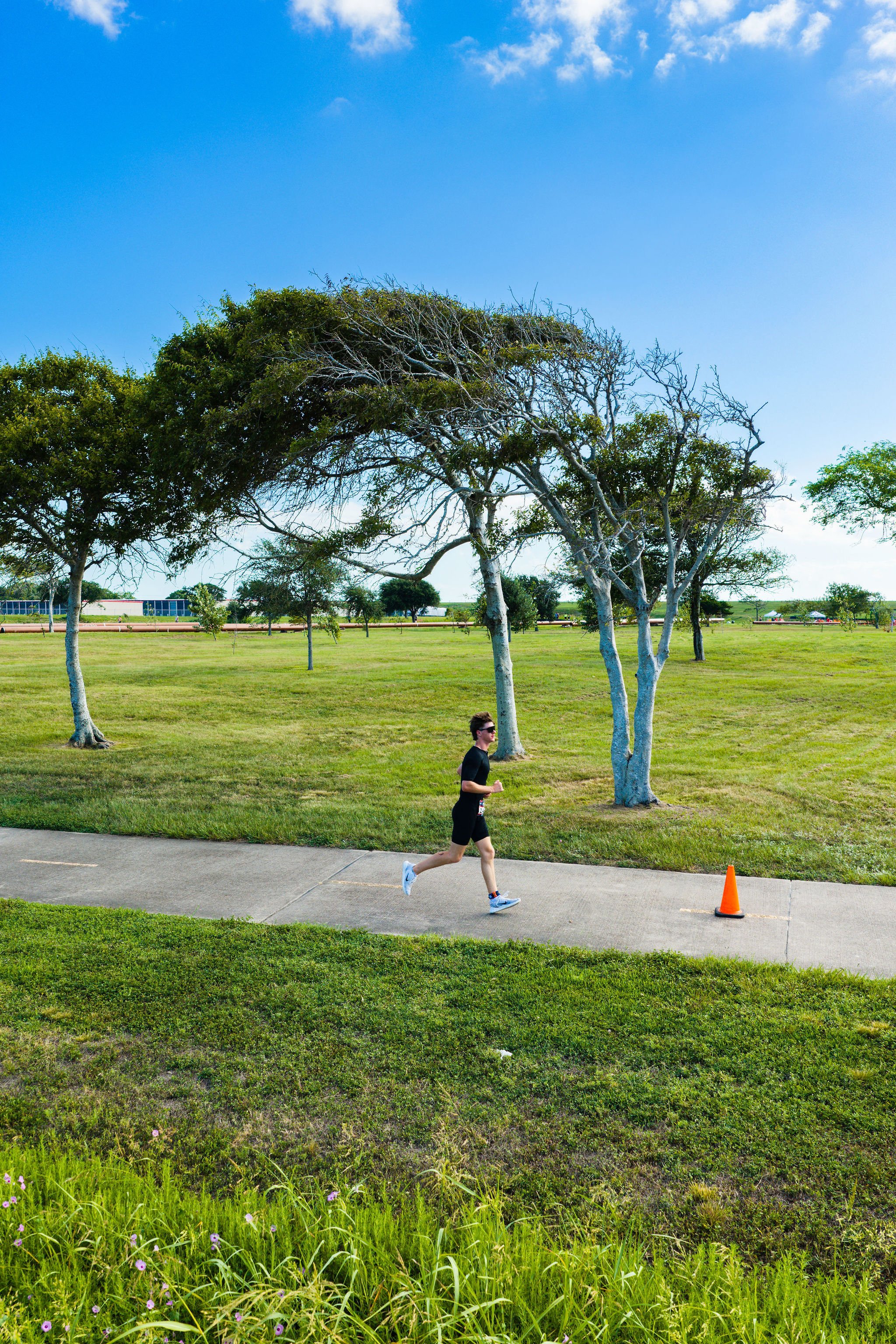 Runner passing trees in Rainbow Park
