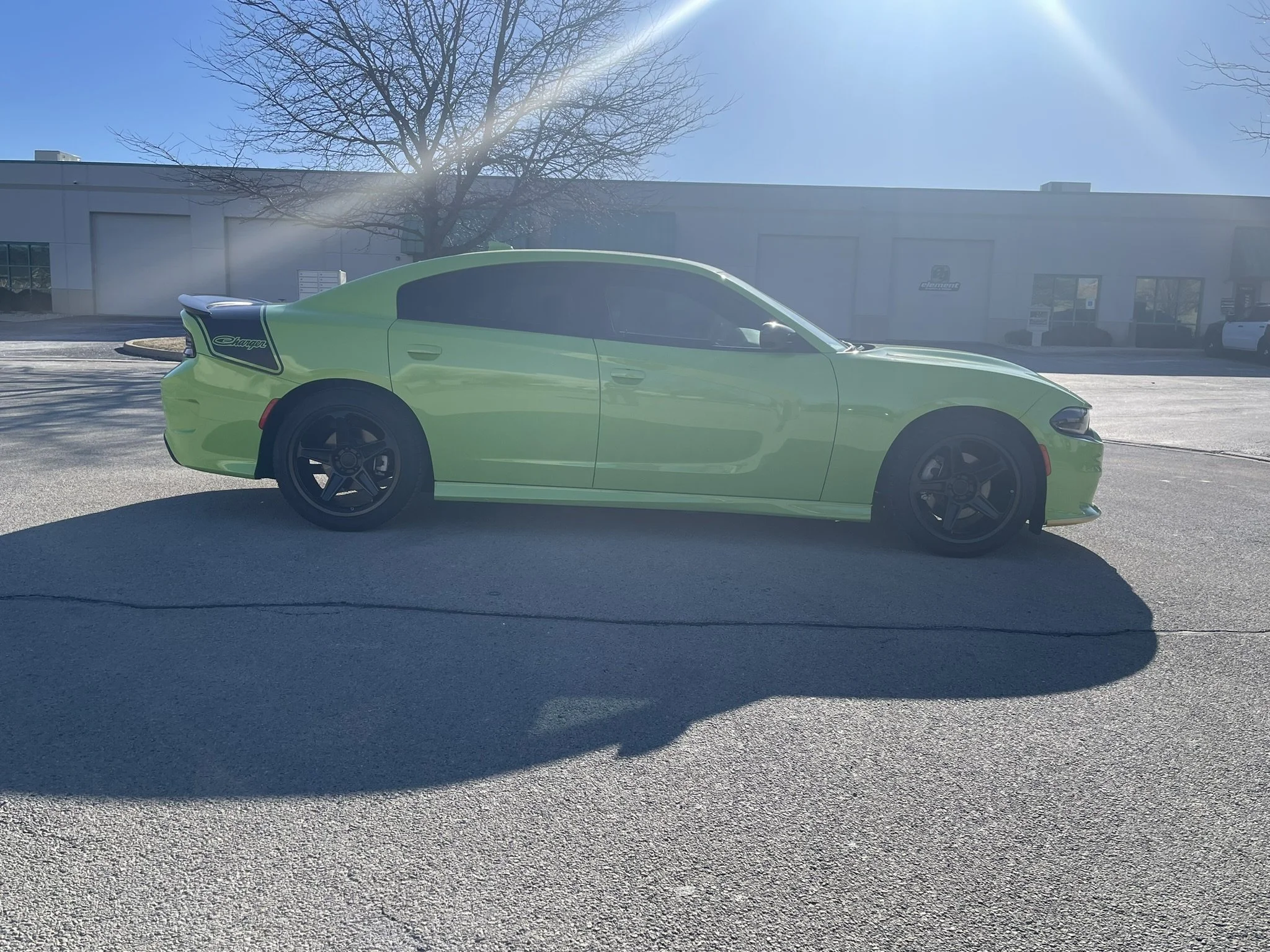 A bright green Dodge Charger parked in an empty parking lot with a building in the background and a leafless tree under a clear blue sky.