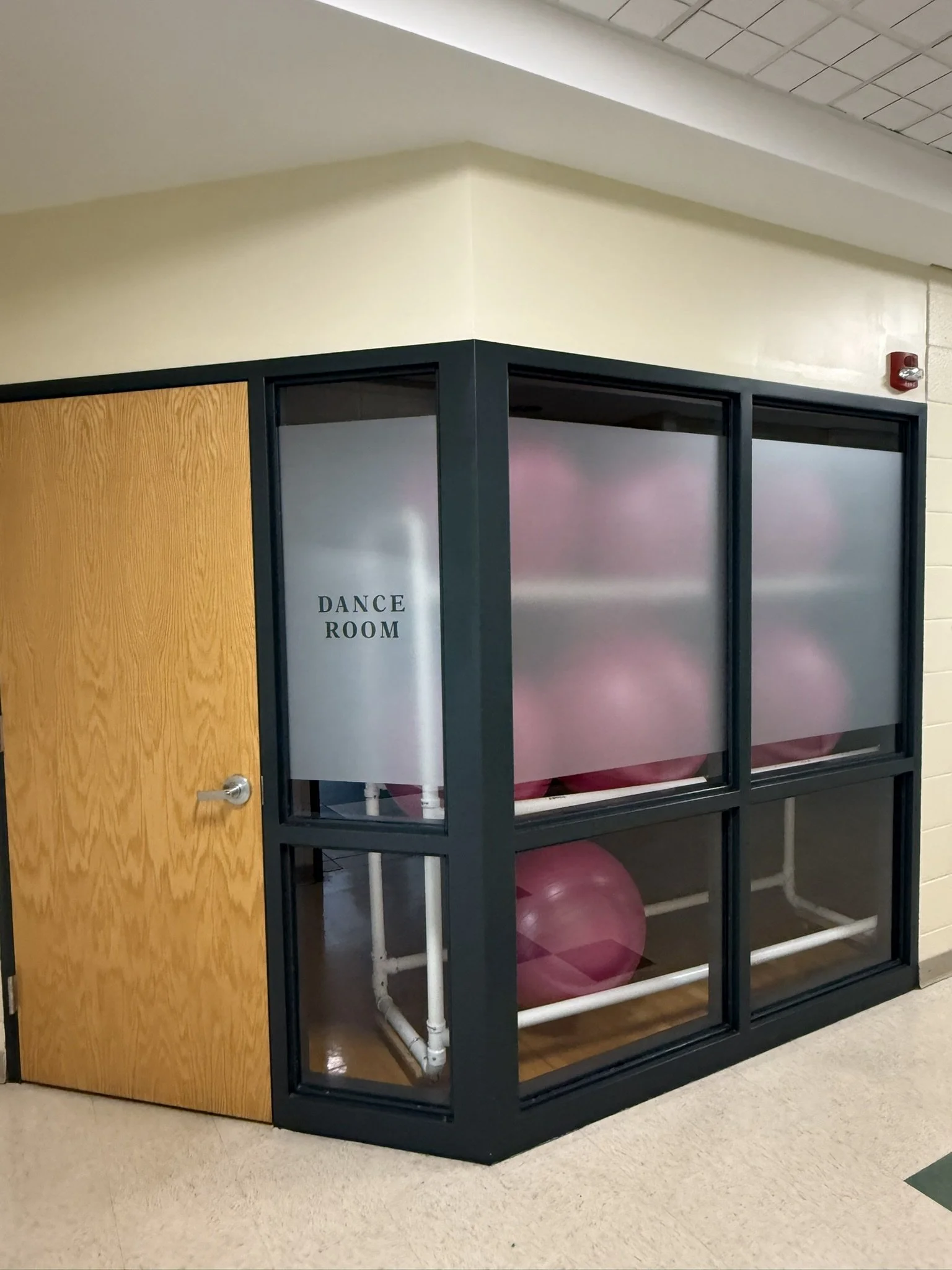 A small enclosed room labeled 'Dance Room' with glass walls, pink exercise balls inside, and a wooden door next to it in a school hallway.
