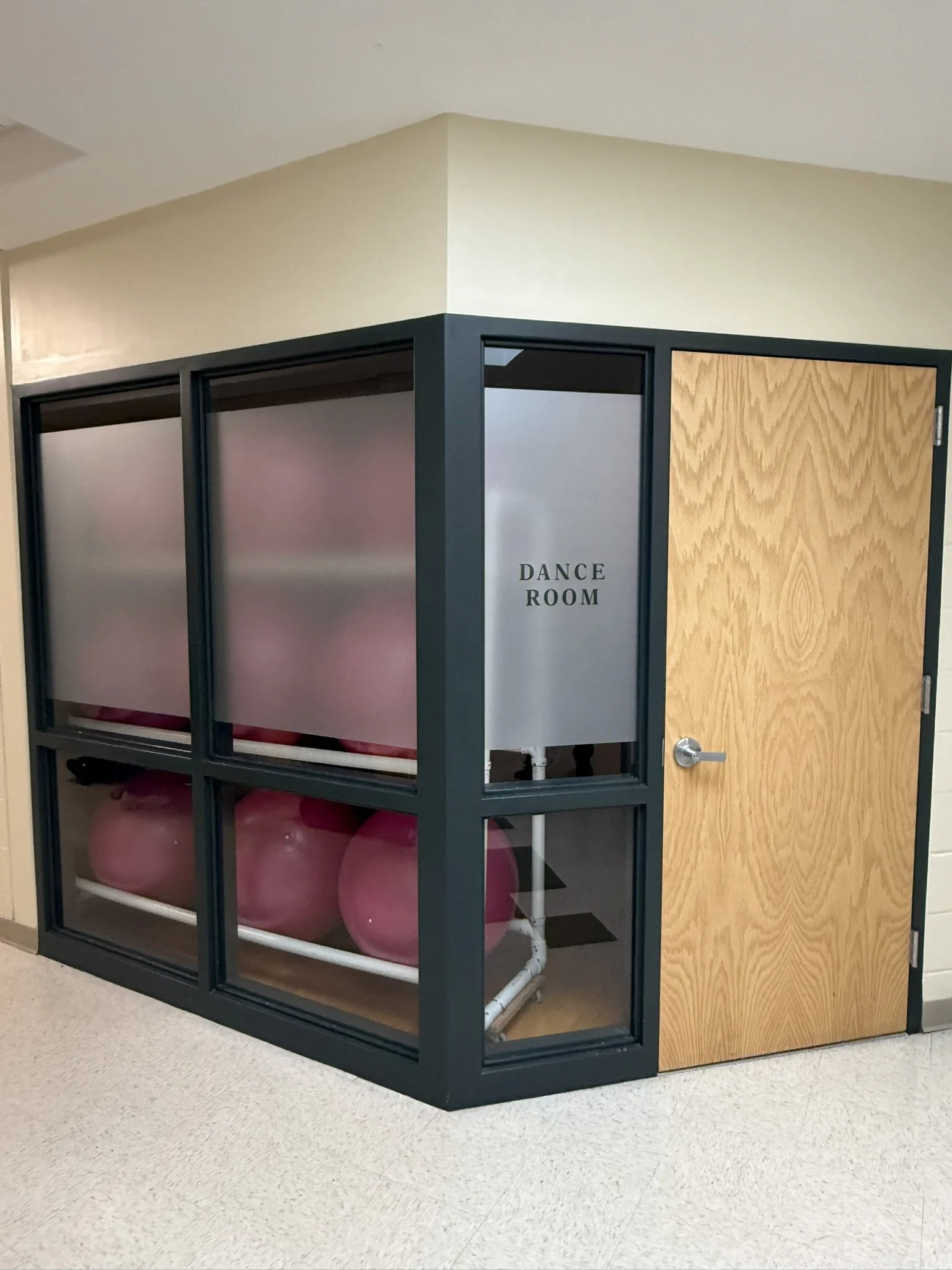 A small enclosed room labeled 'Dance Room' with pink exercise balls and pink foam rollers inside.