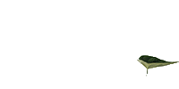 Marcia Loves It