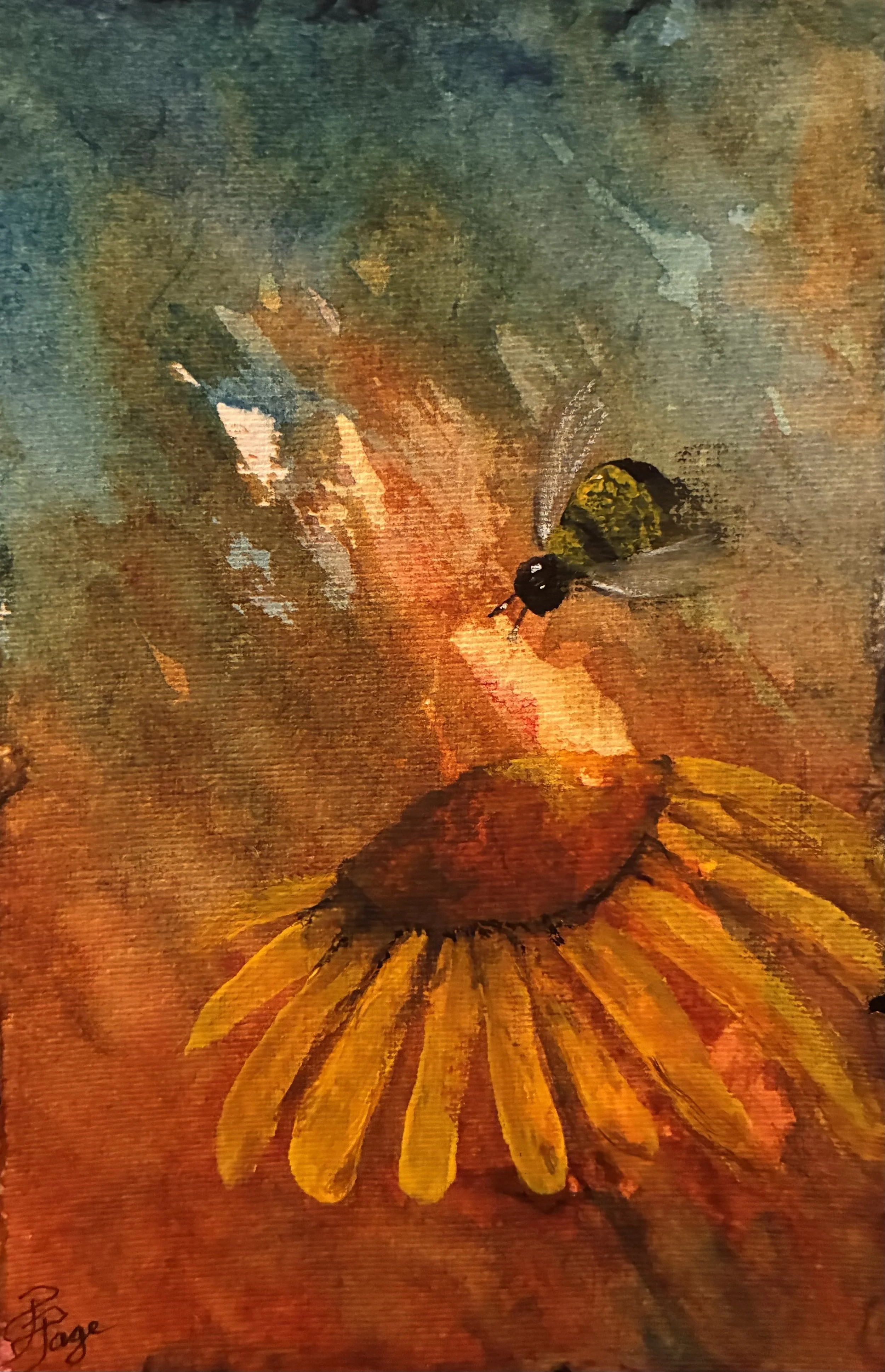Bee on Rudbekia