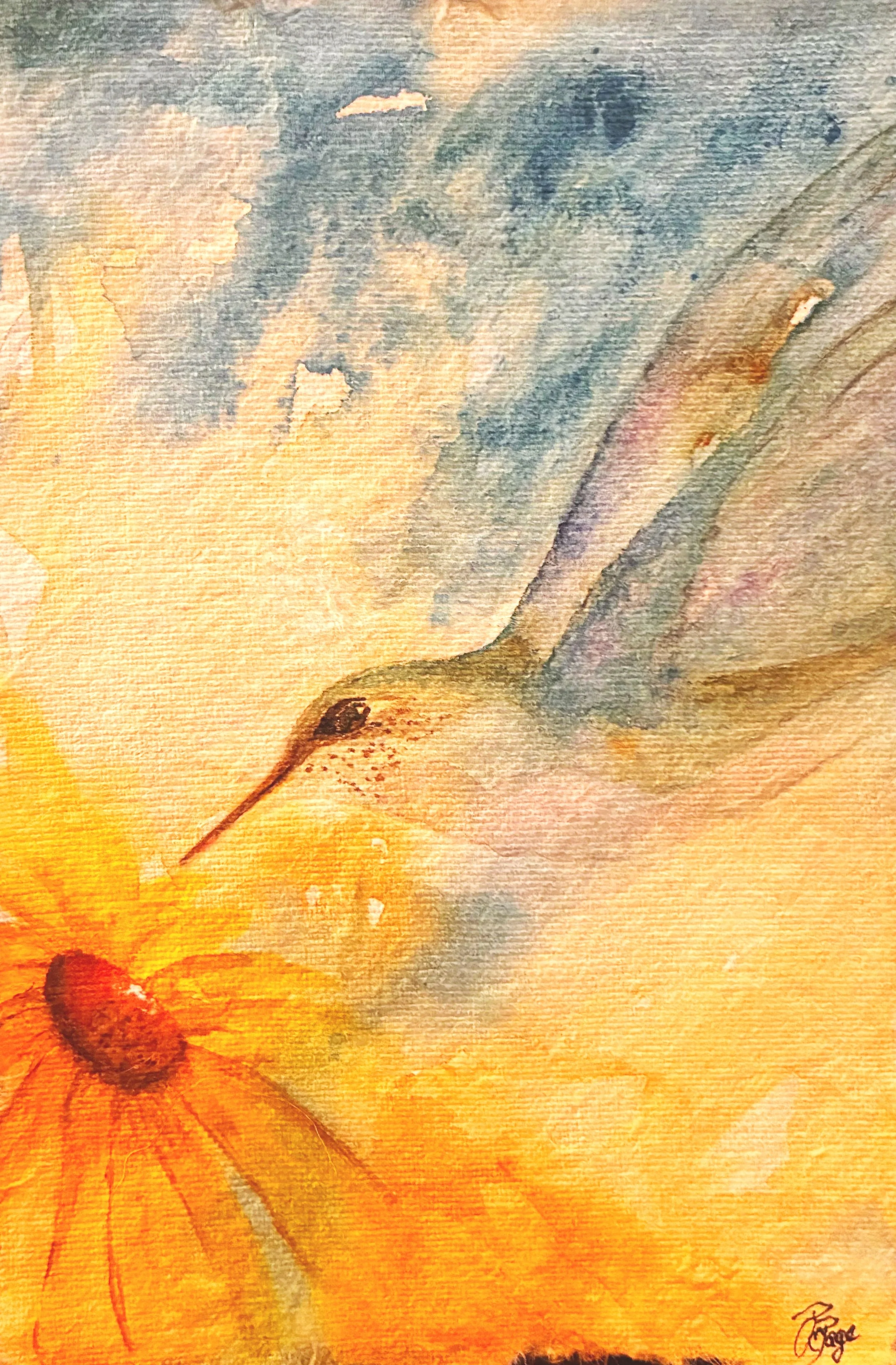 Hummingbird and Rudbekia