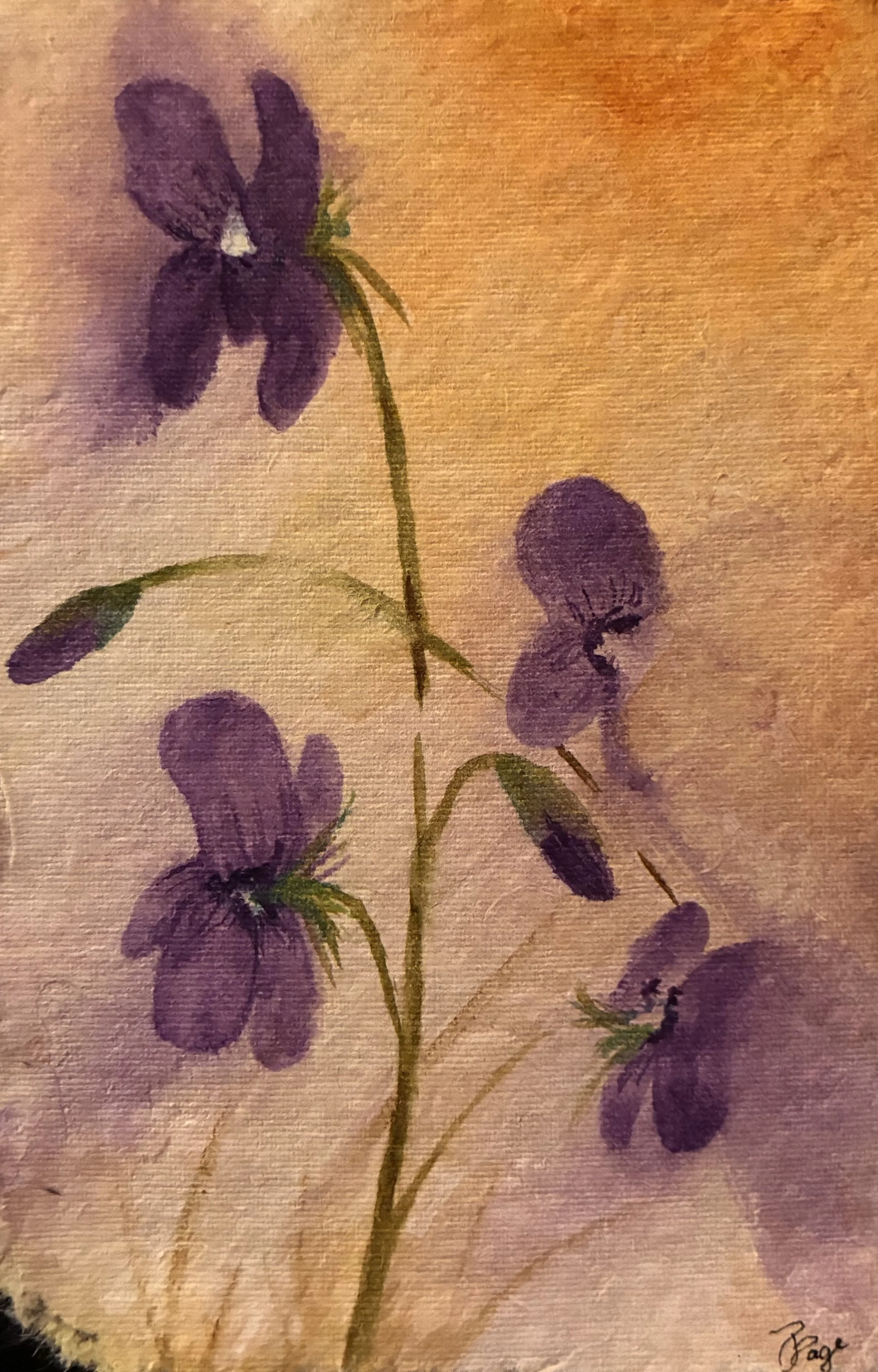 Violet Whispers