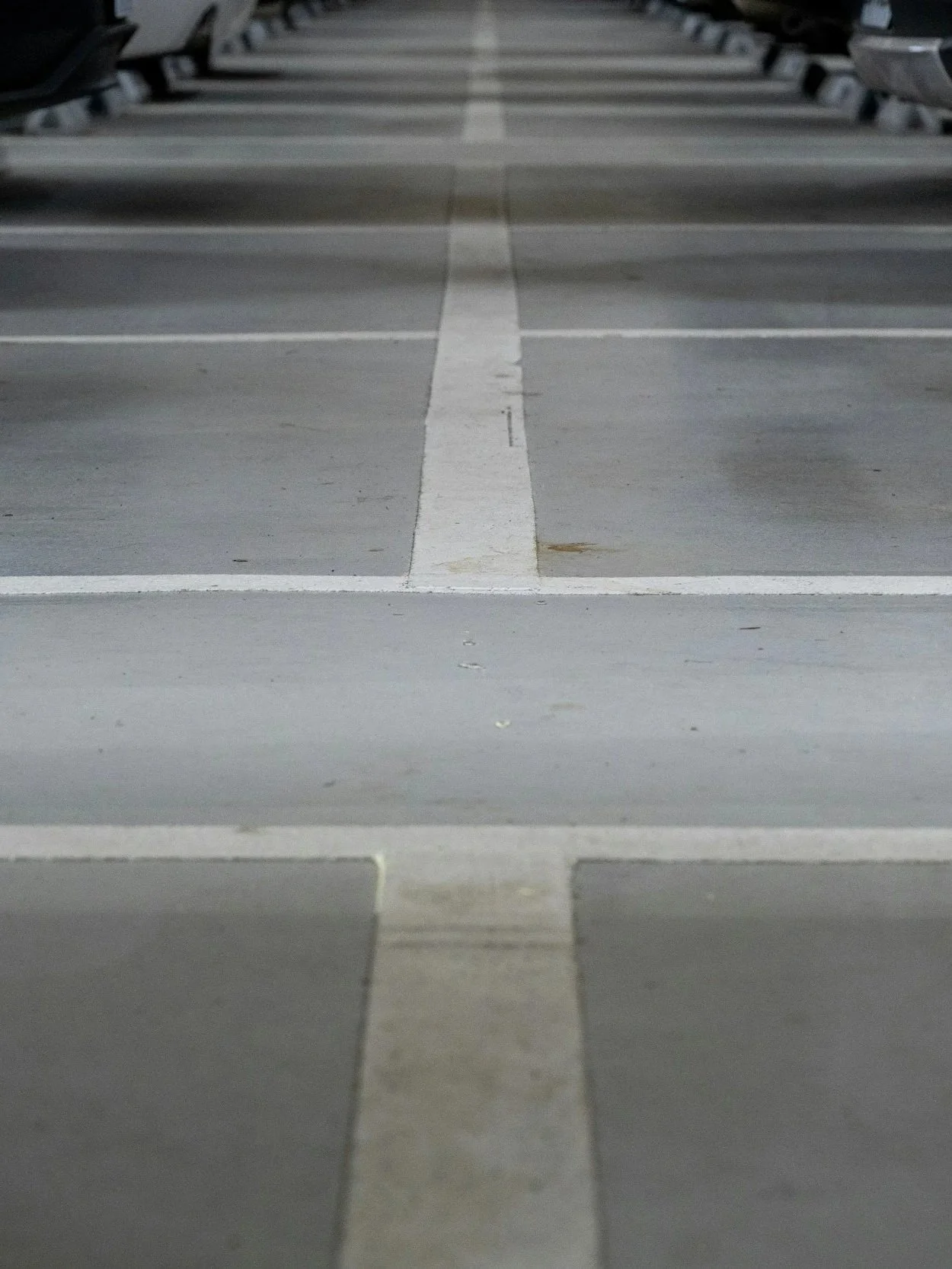 Leere Parklücke mit weißen Linien zwischen den Parkplätzen.