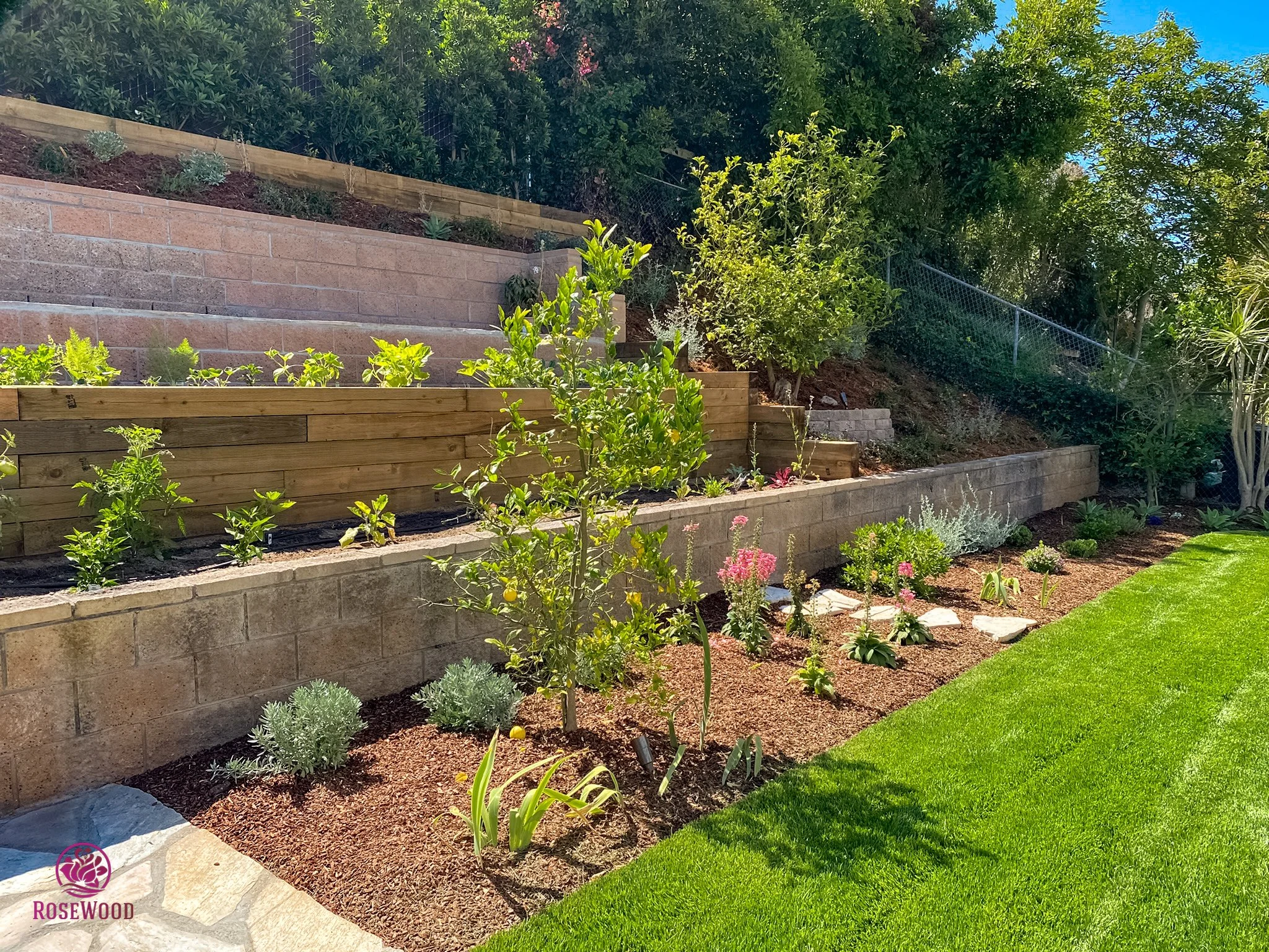 Hillside garden with retaining walls lawn and layered planting