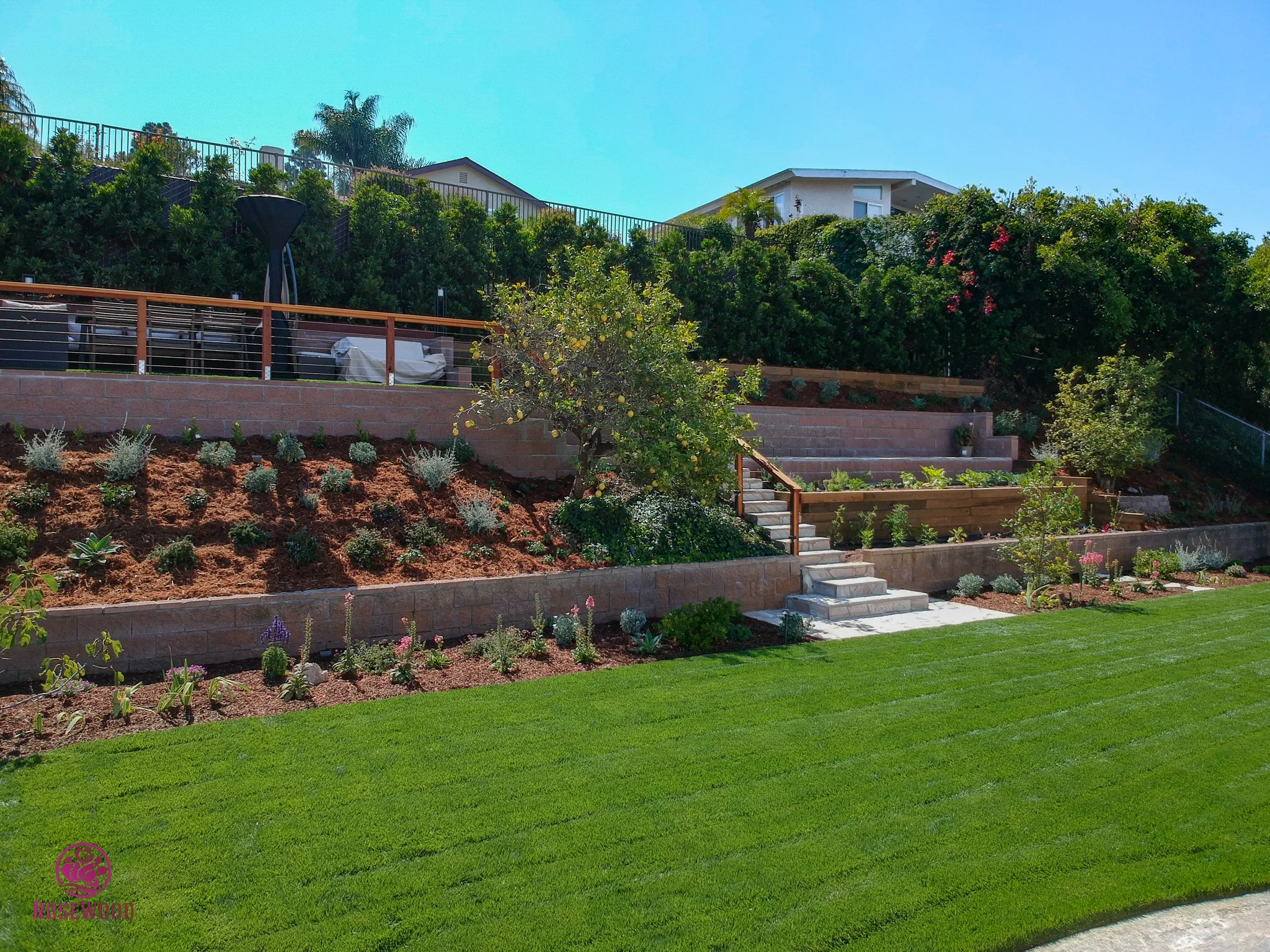 Hillside landscaping with retaining walls and layered planting by Rosewood Landscape