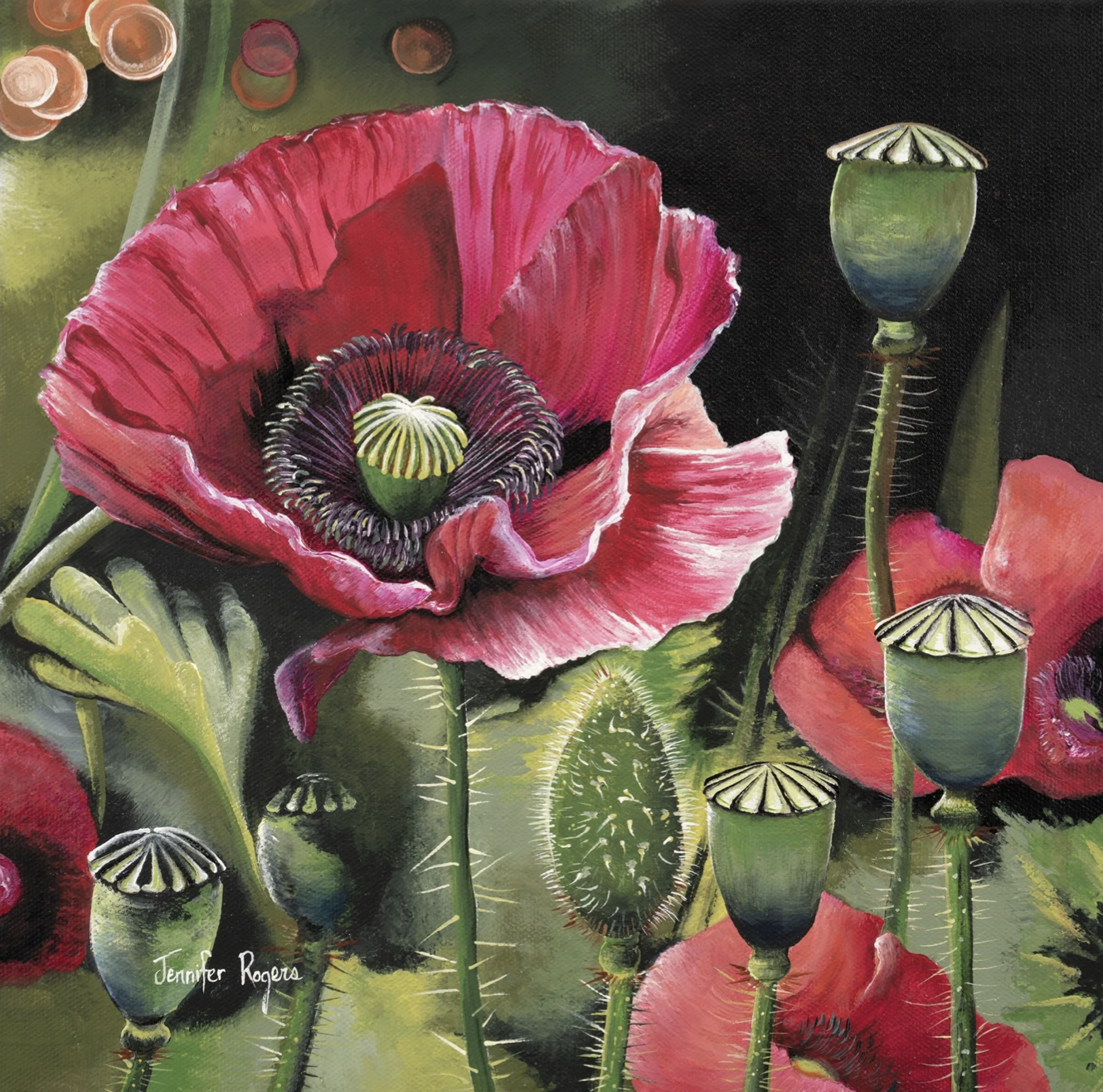 Red Oriental Poppy - August Flower