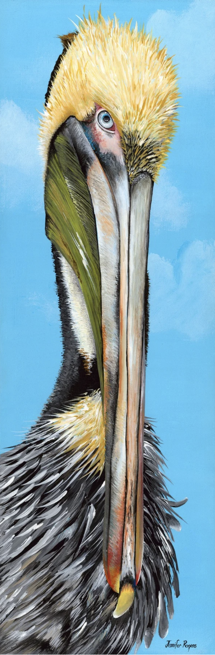 Pelican Face