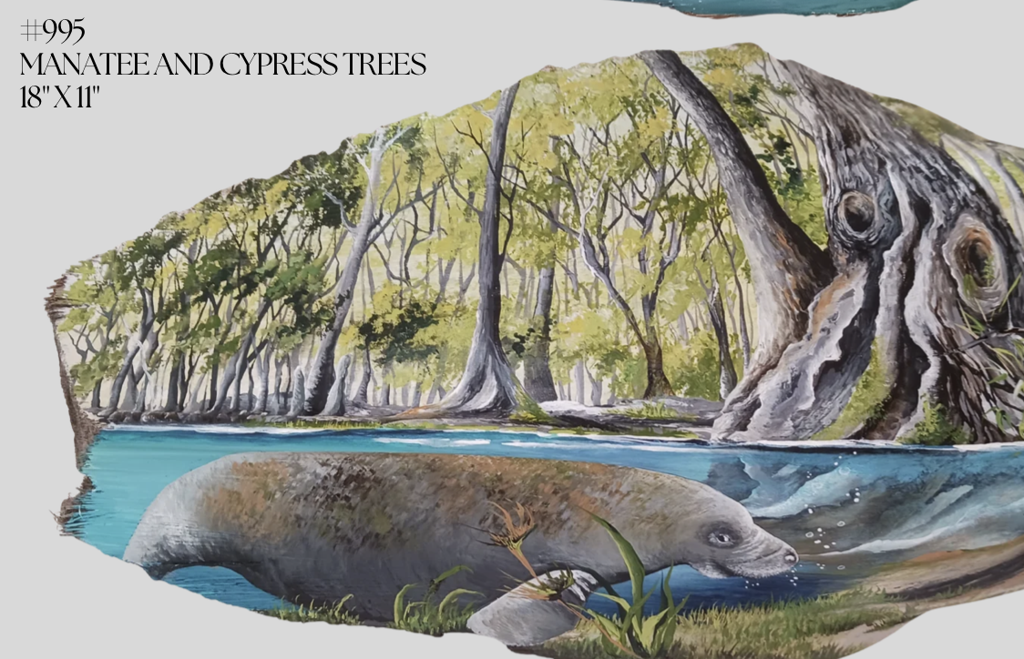 #995 
MANATEE AND CYPRESS TREES 
18" X 11"