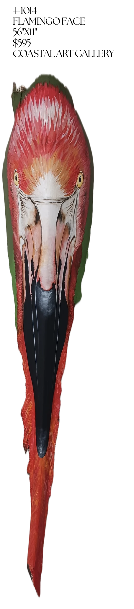 Flamingo Face Wall Art