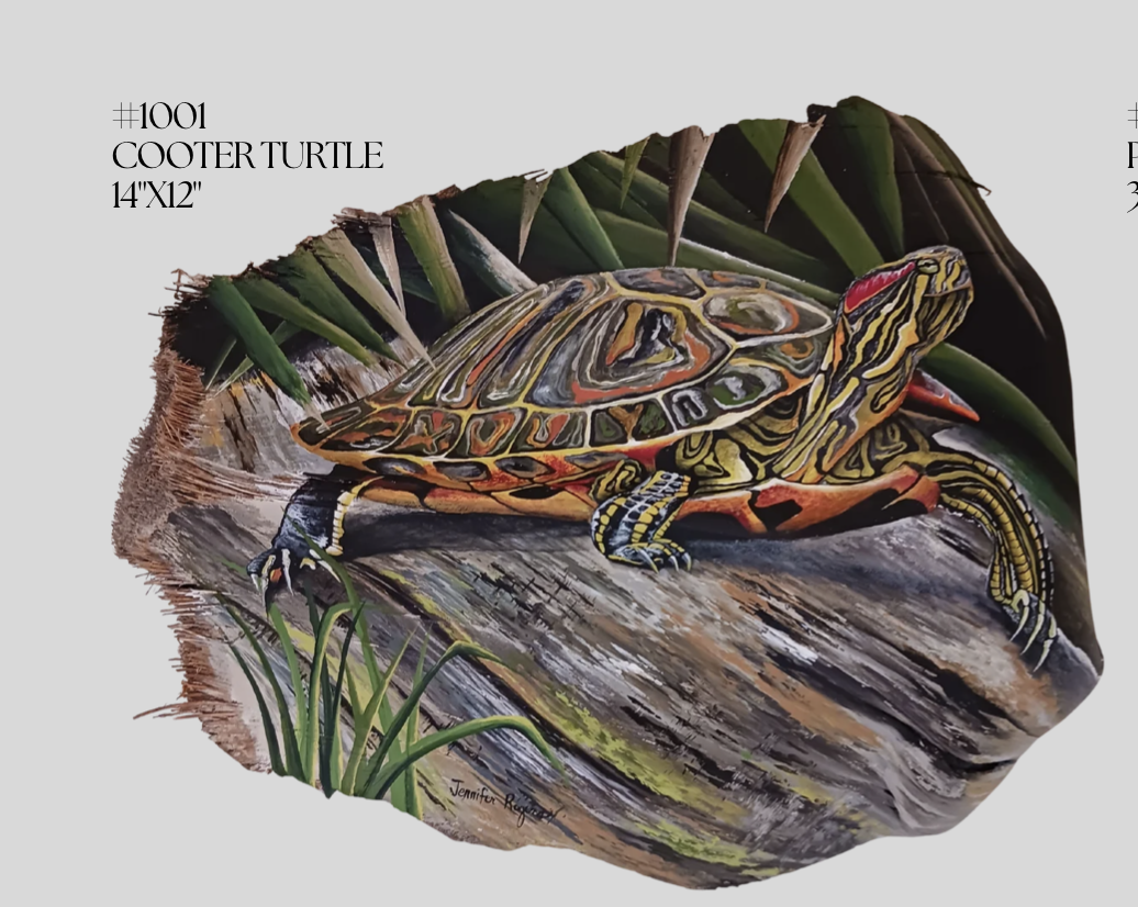 #1001
COOTER TURTLE
14"X12"