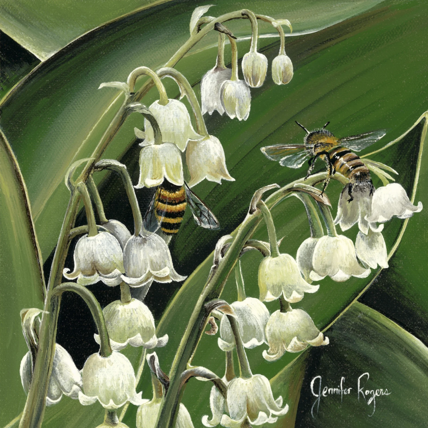 Lily of the Valley - May Flower