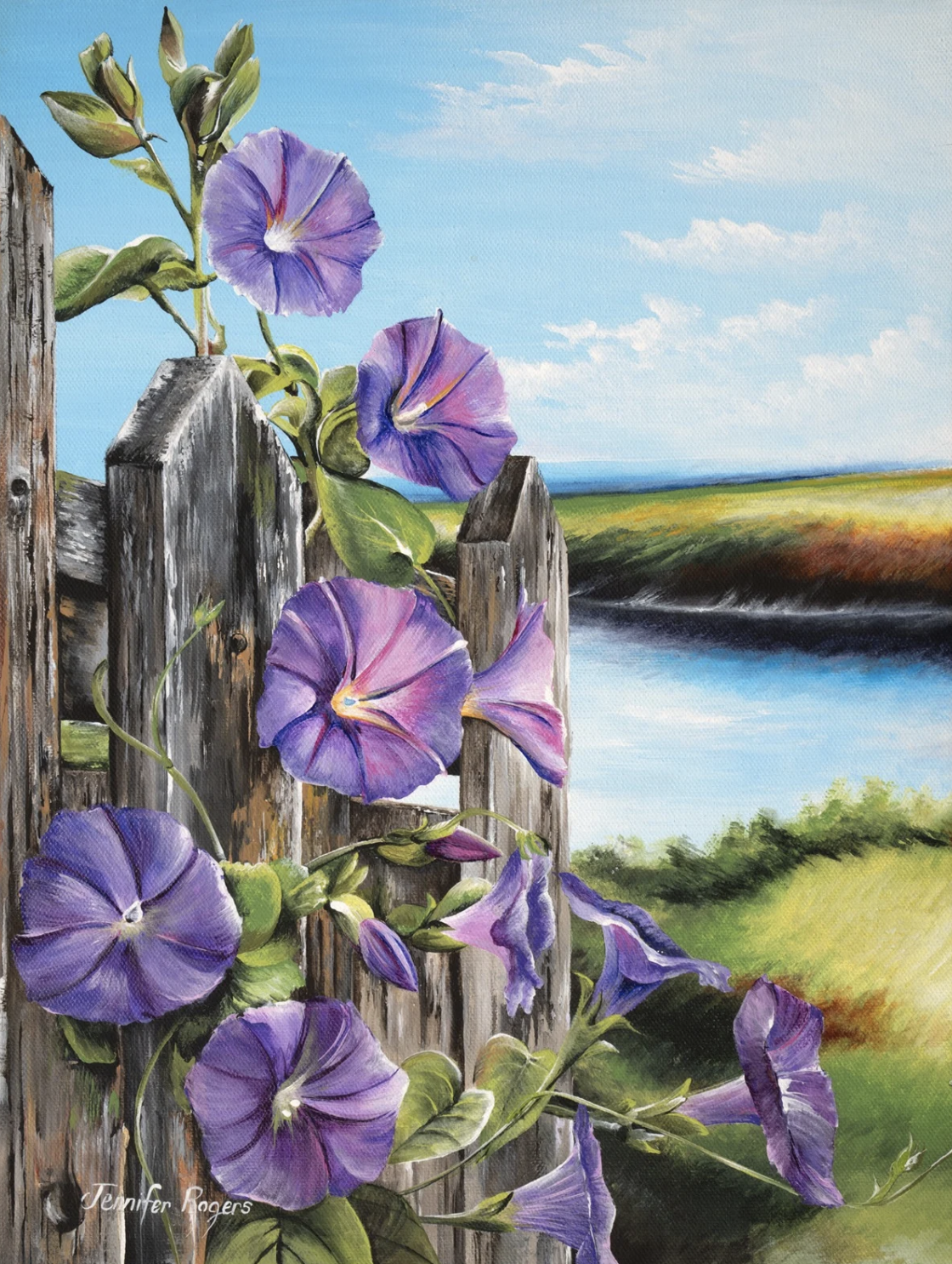 Morning Glory - September Flower