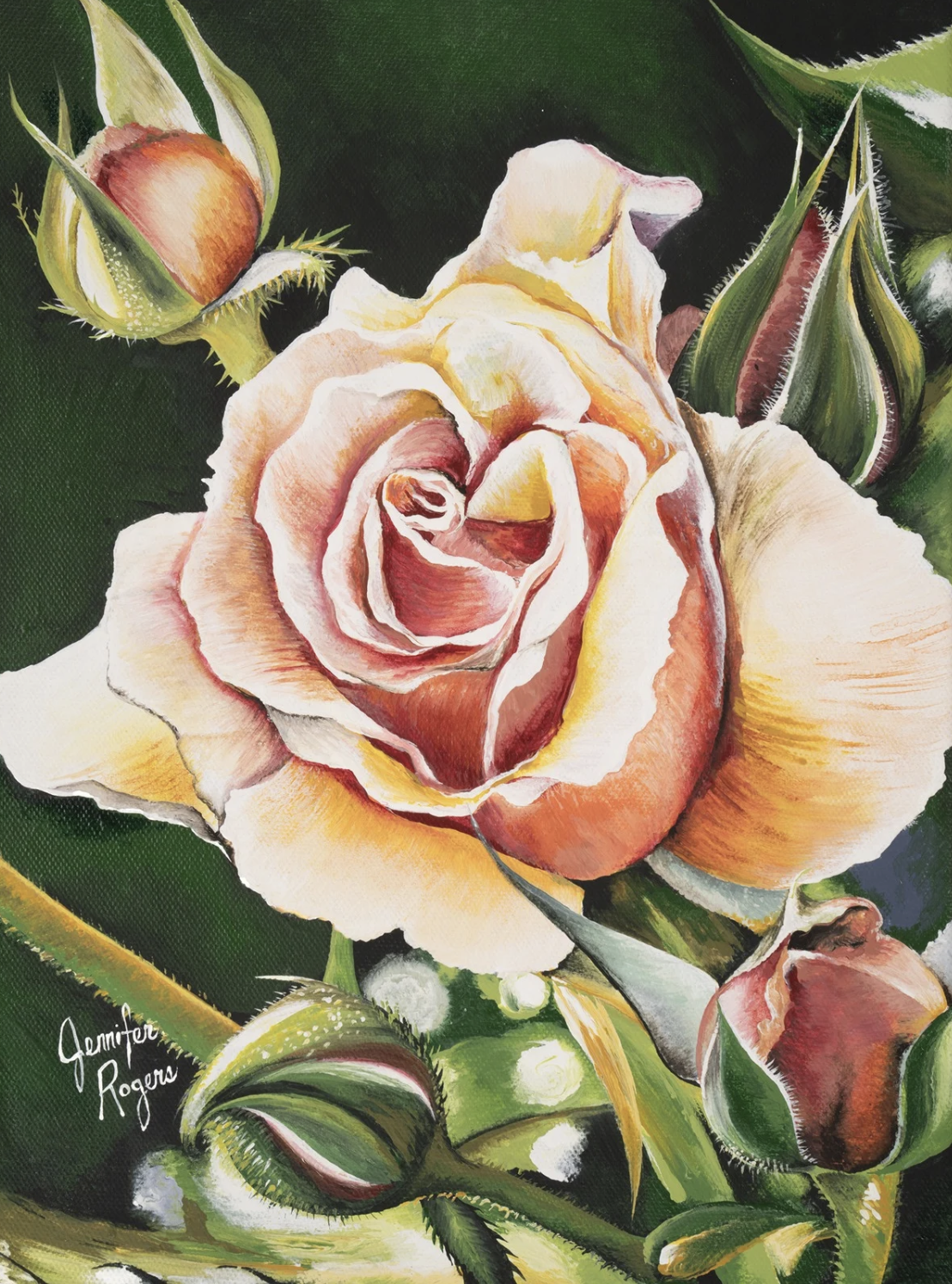 Rose - June Flower