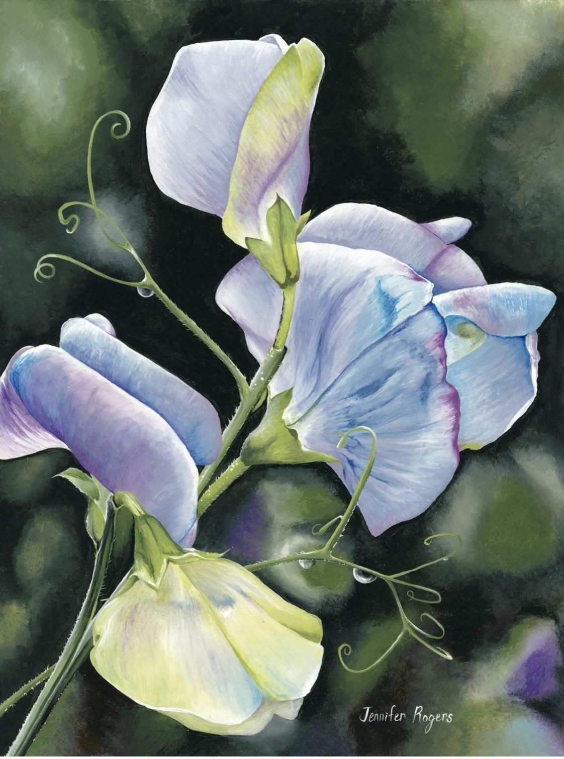 Sweet Pea - April Flower
