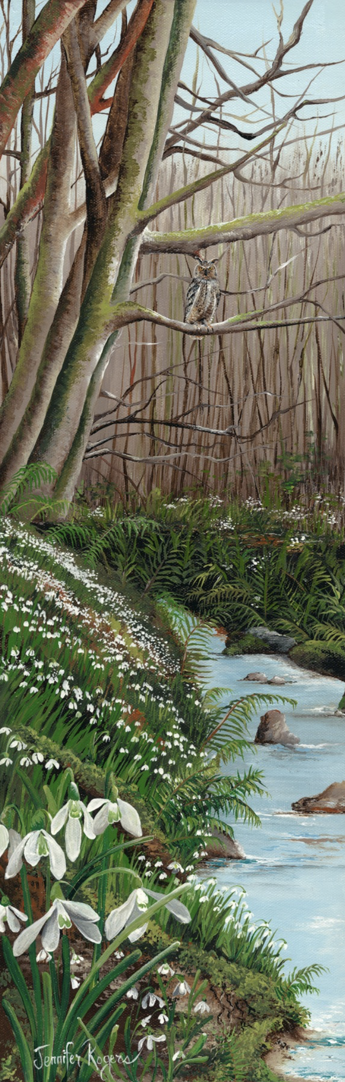 Snowdrop - January Flower