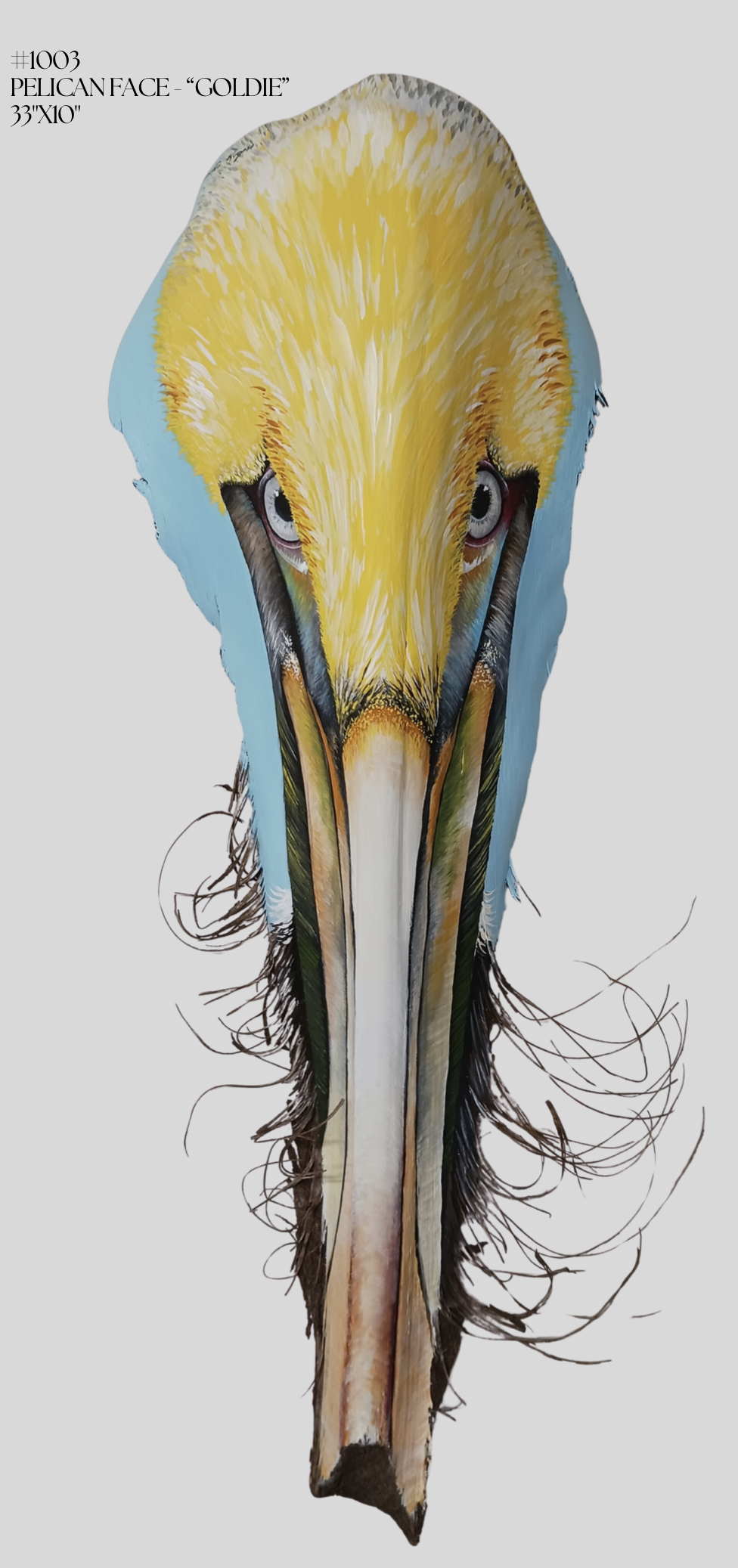 #1003
PELICAN FACE - “GOLDIE”
33"X10"